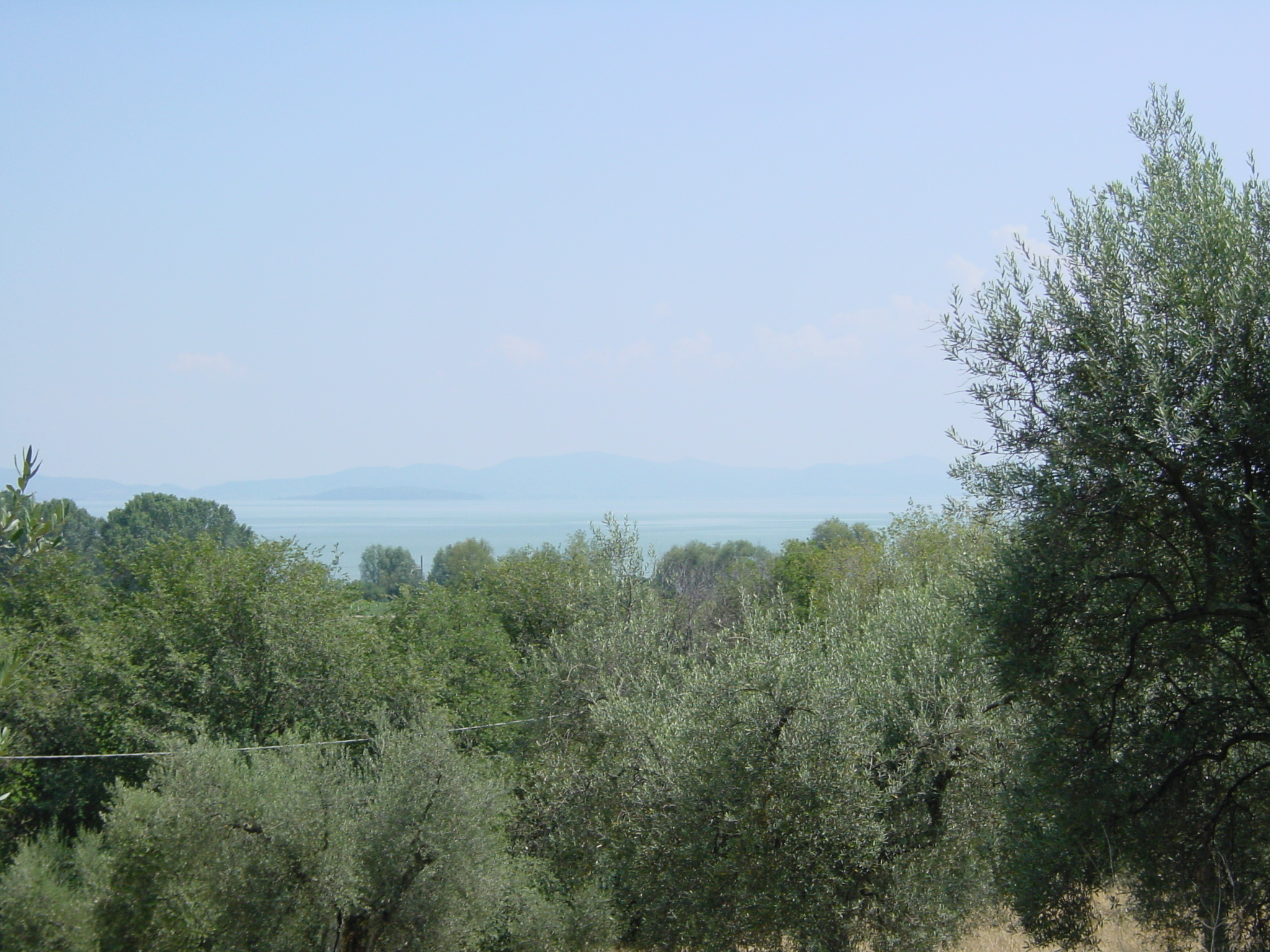 Picture Italy Assisi 2002-07 56 - History Assisi