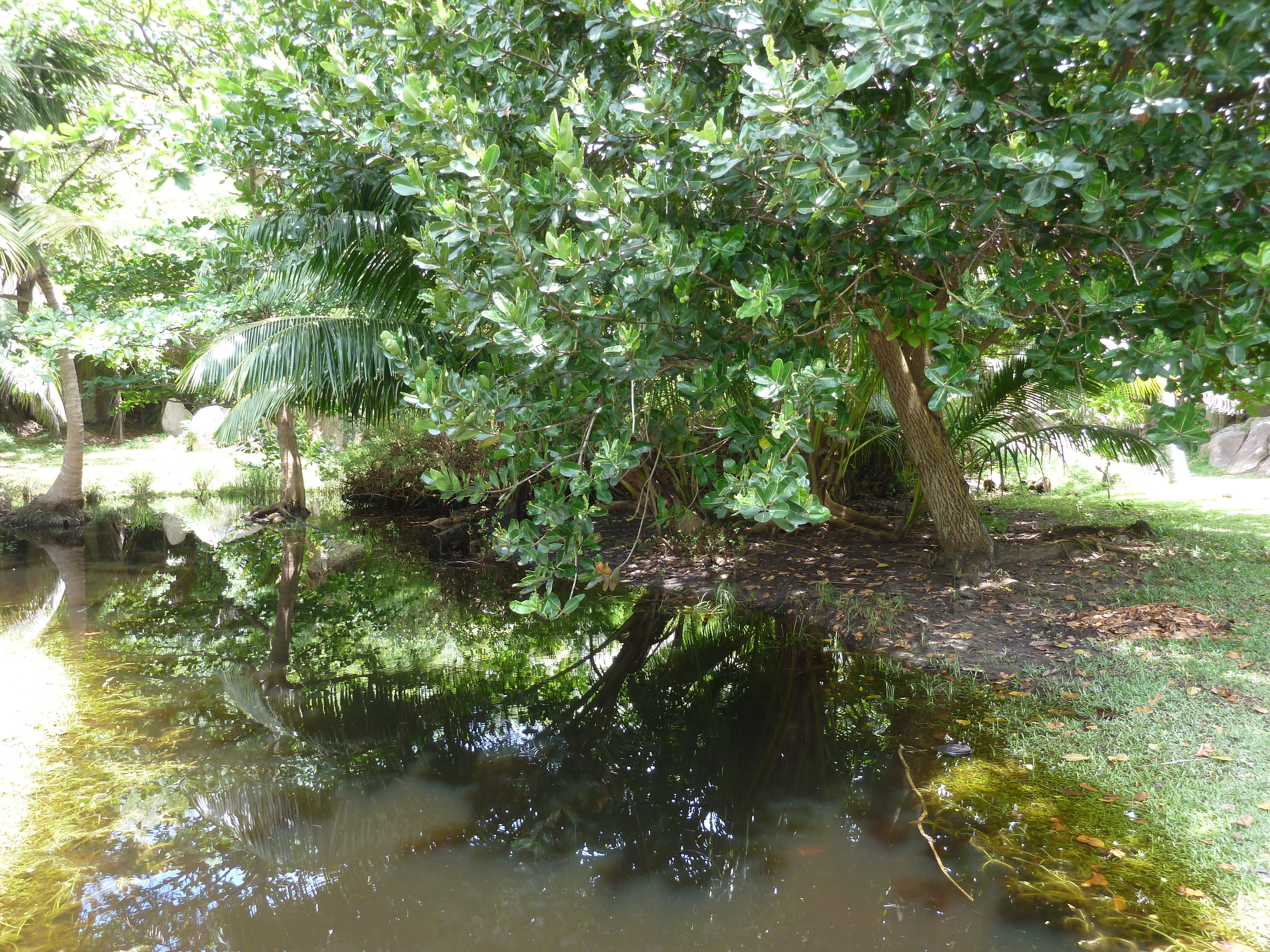 Picture Seychelles Grande Soeur 2011-10 91 - History Grande Soeur