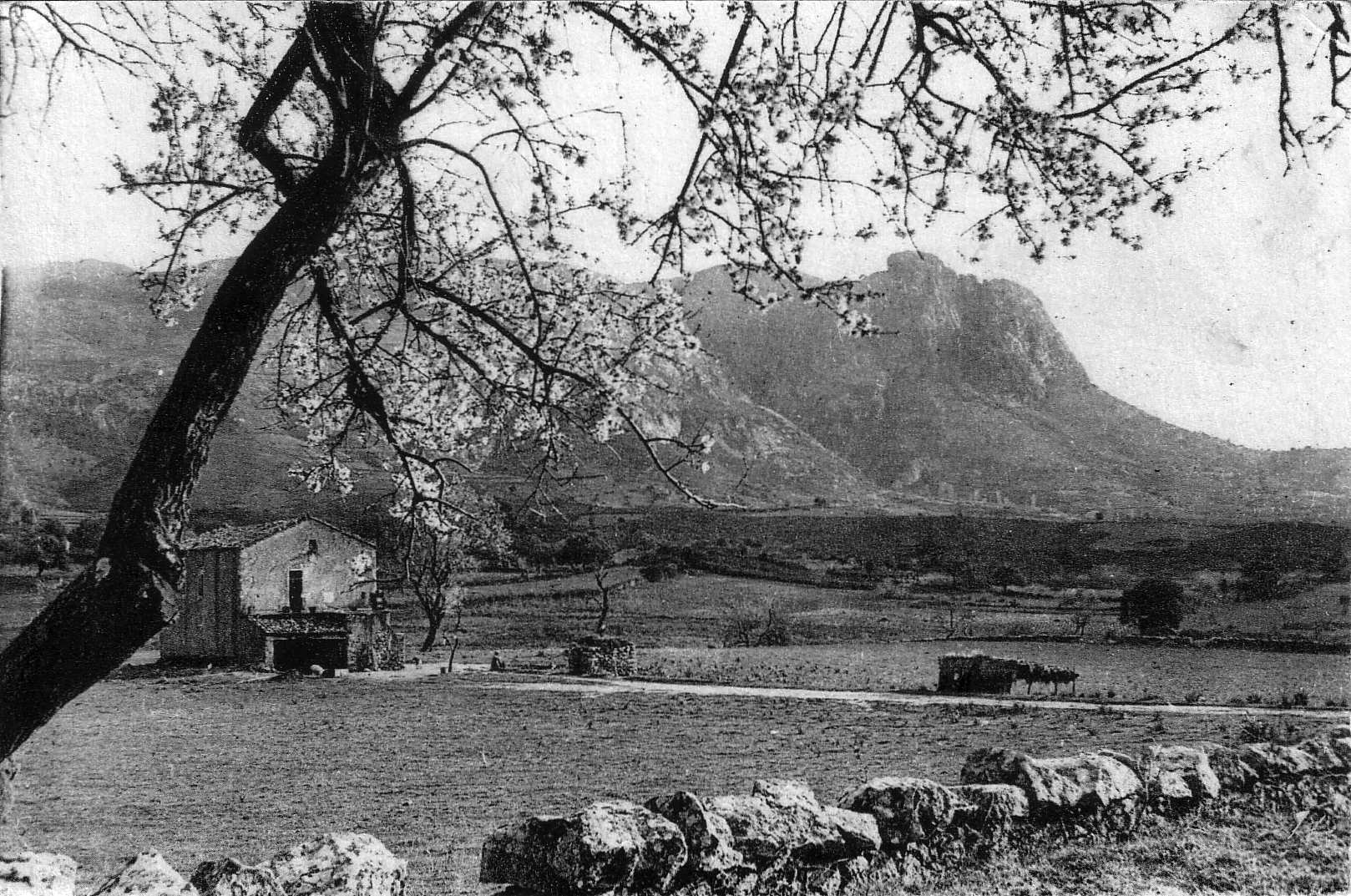 Picture France Corsica Old Postcards 1900-01 176 - Discovery Old Postcards