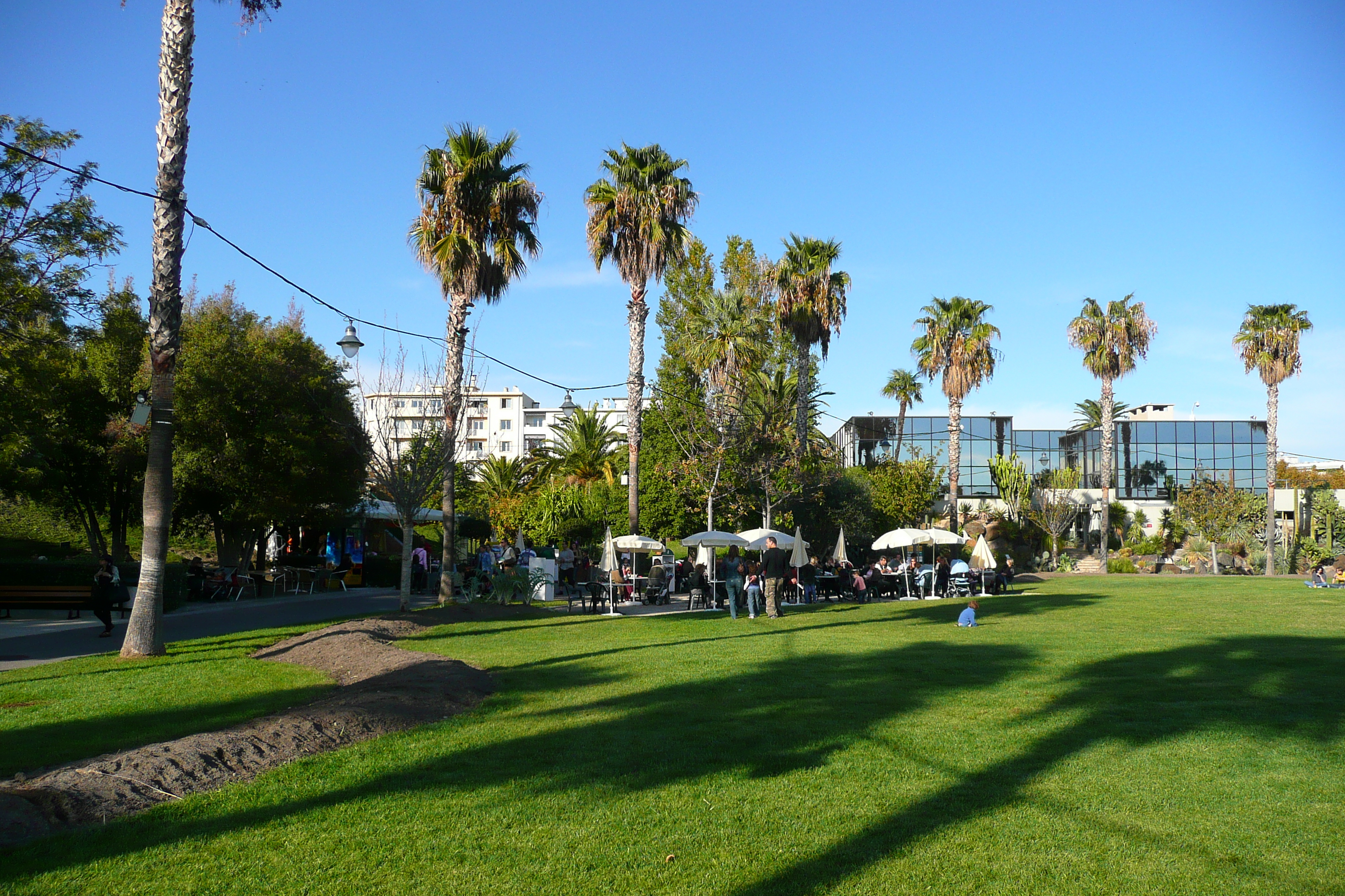 Picture France Nice Phoenix Parc 2007-10 64 - Tours Phoenix Parc