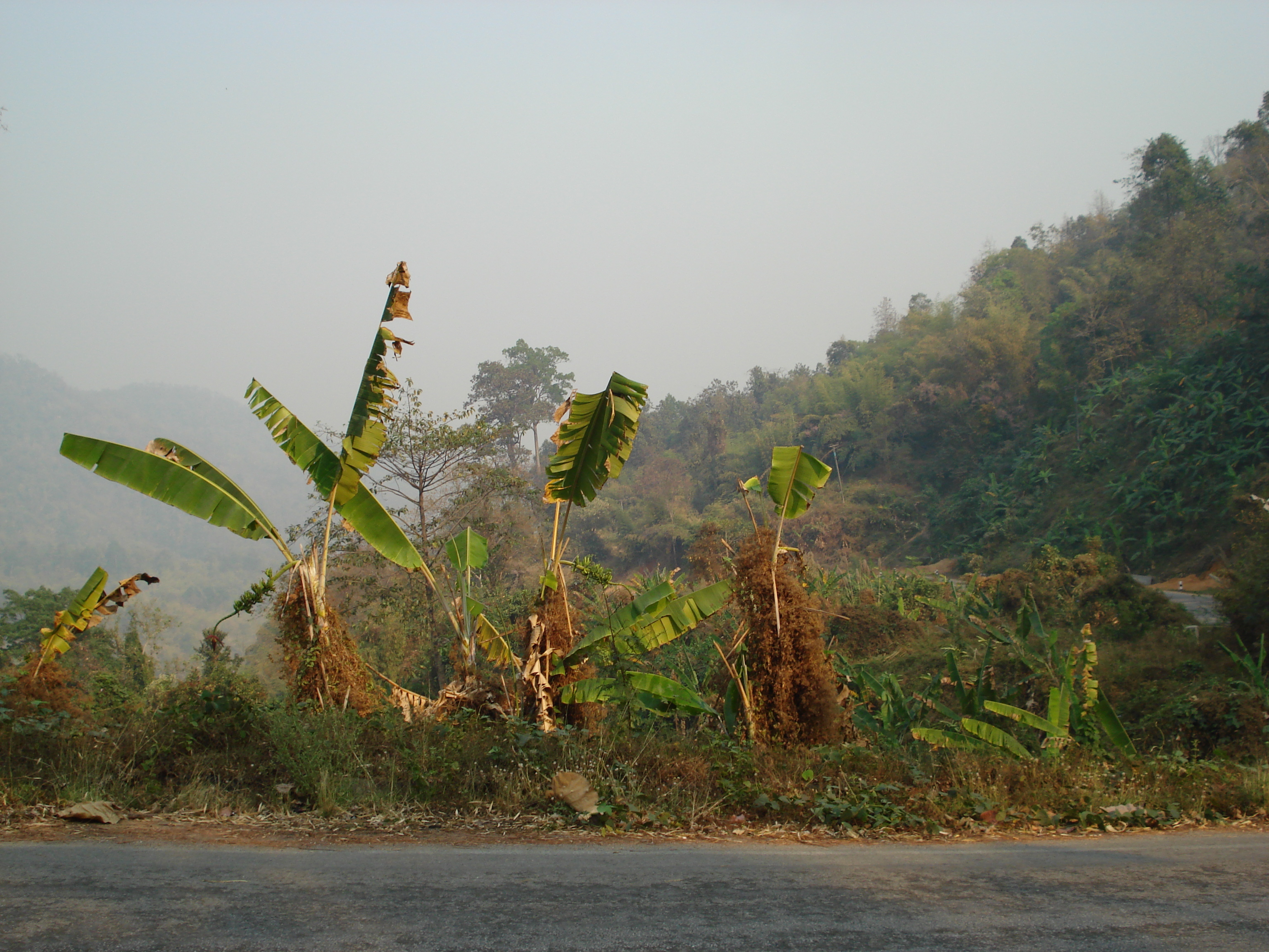 Picture Thailand Chiang Mai to Pai road 2007-02 19 - Journey Chiang Mai to Pai road