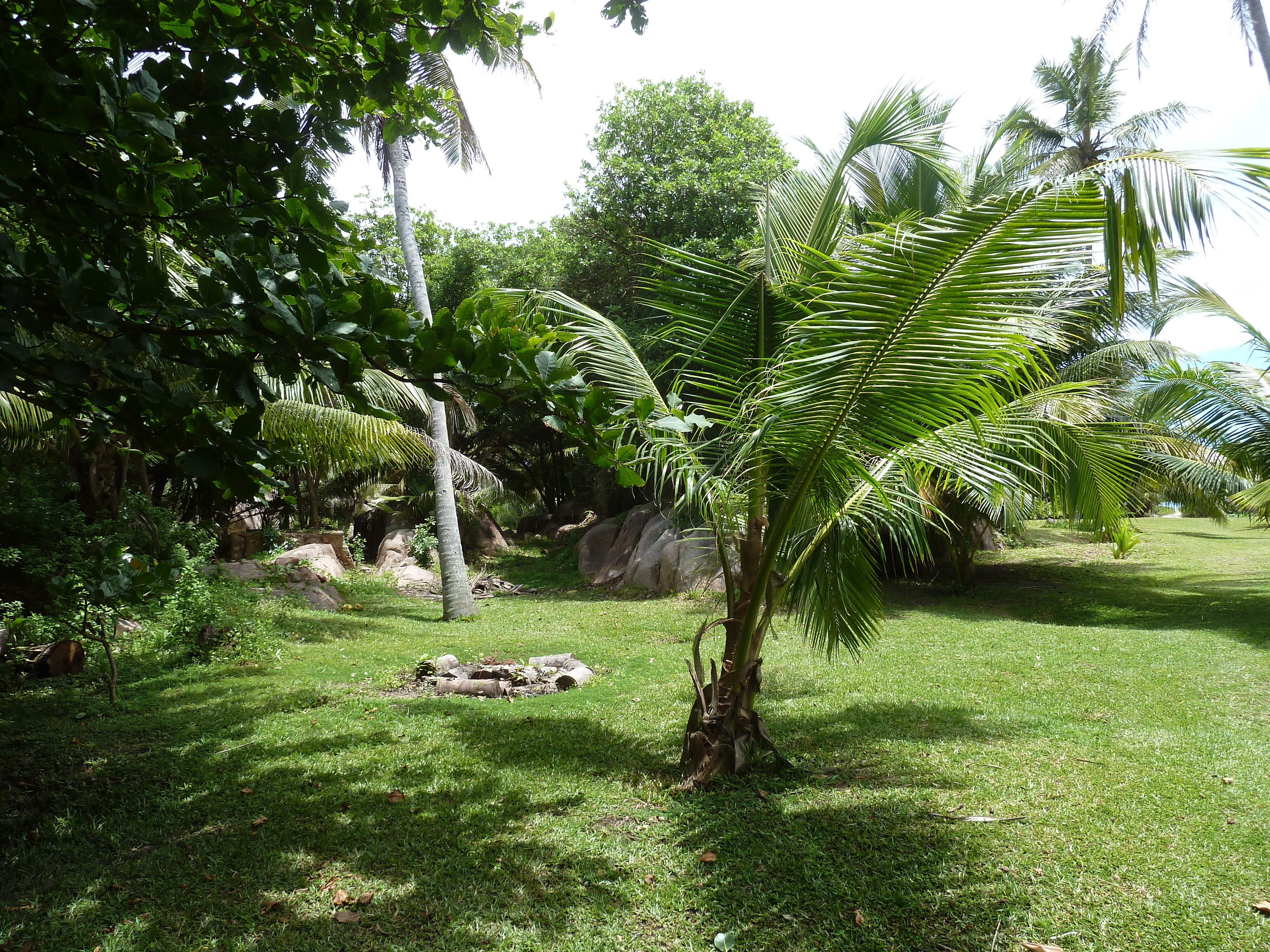 Picture Seychelles Grande Soeur 2011-10 87 - Journey Grande Soeur