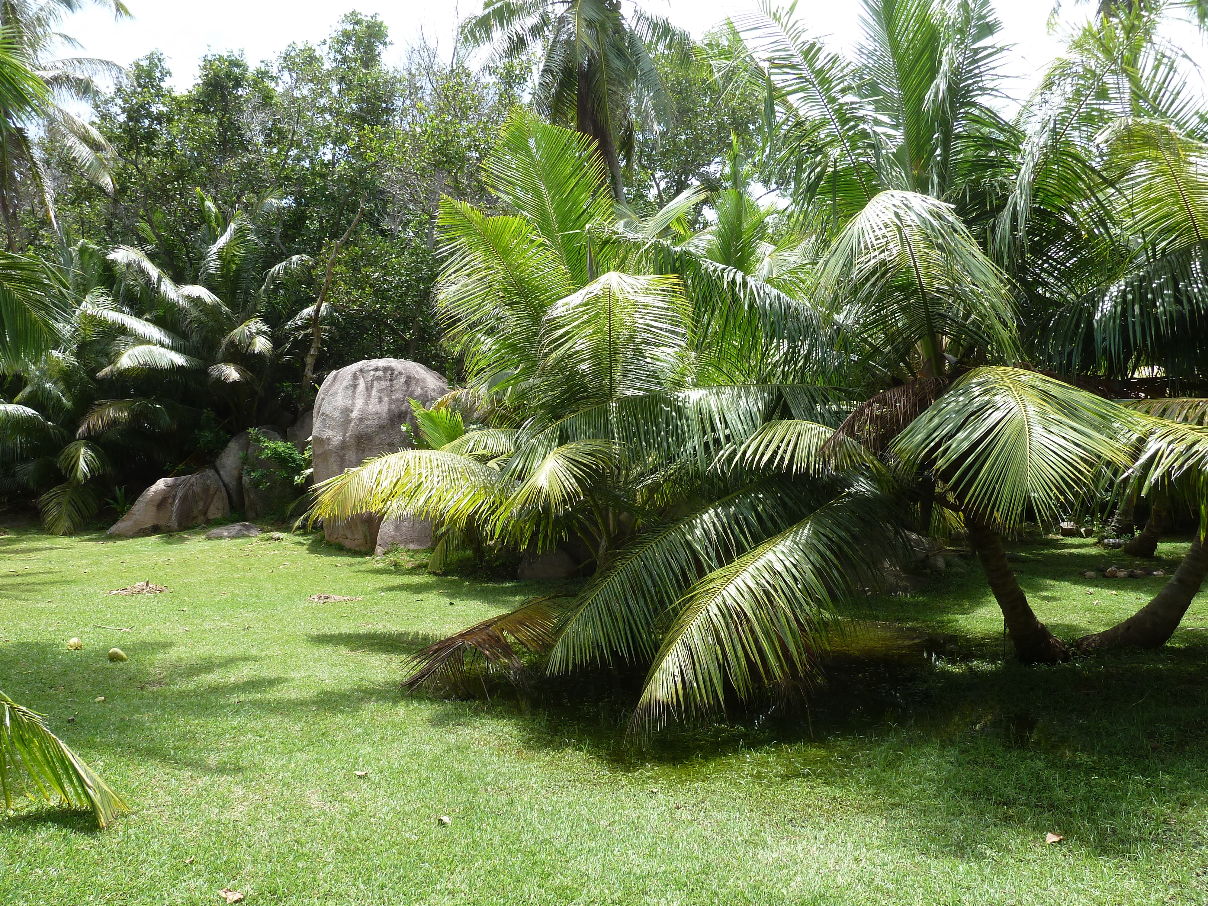 Picture Seychelles Grande Soeur 2011-10 100 - Discovery Grande Soeur