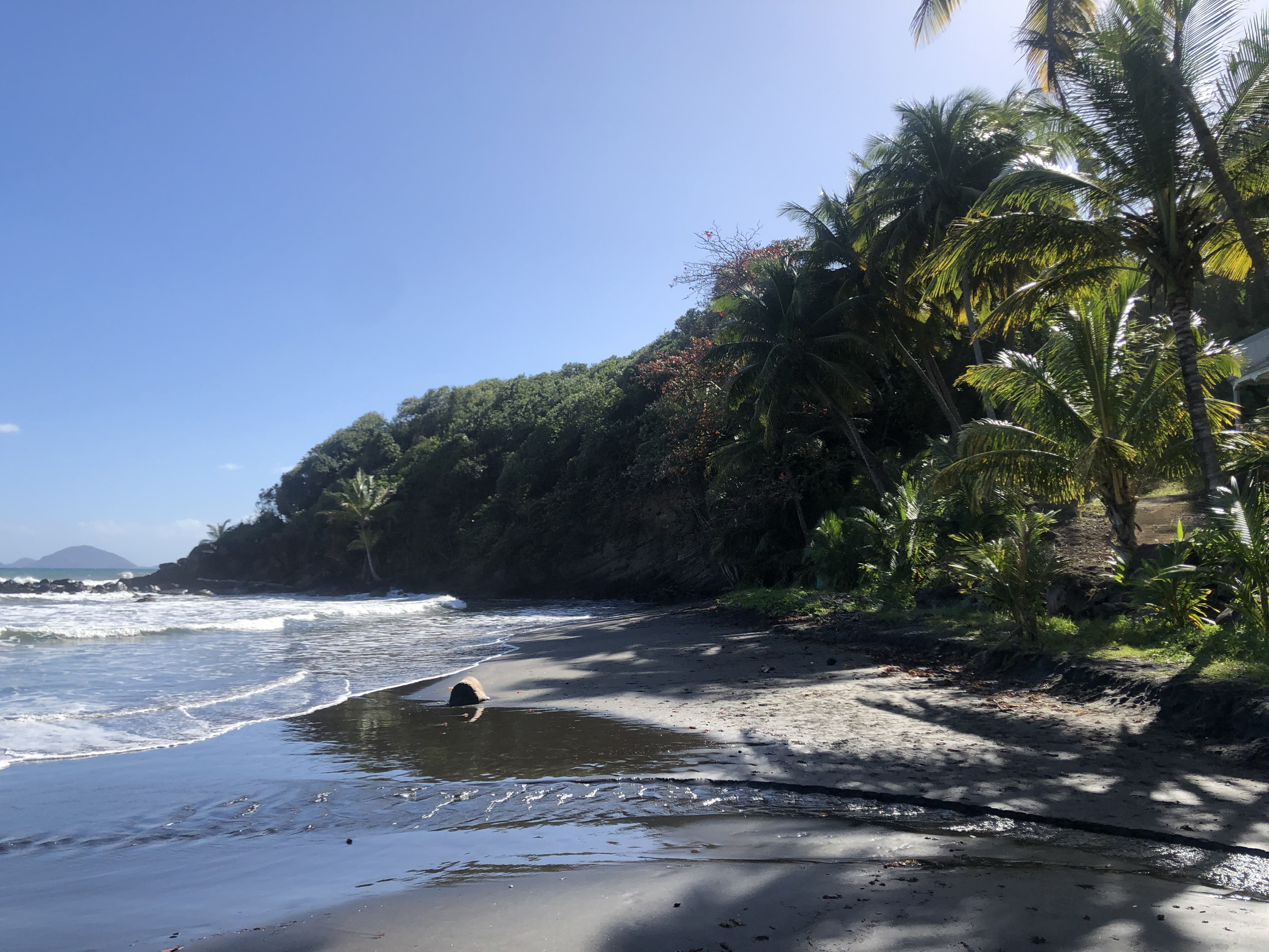 Picture Guadeloupe Bananier 2021-02 20 - History Bananier