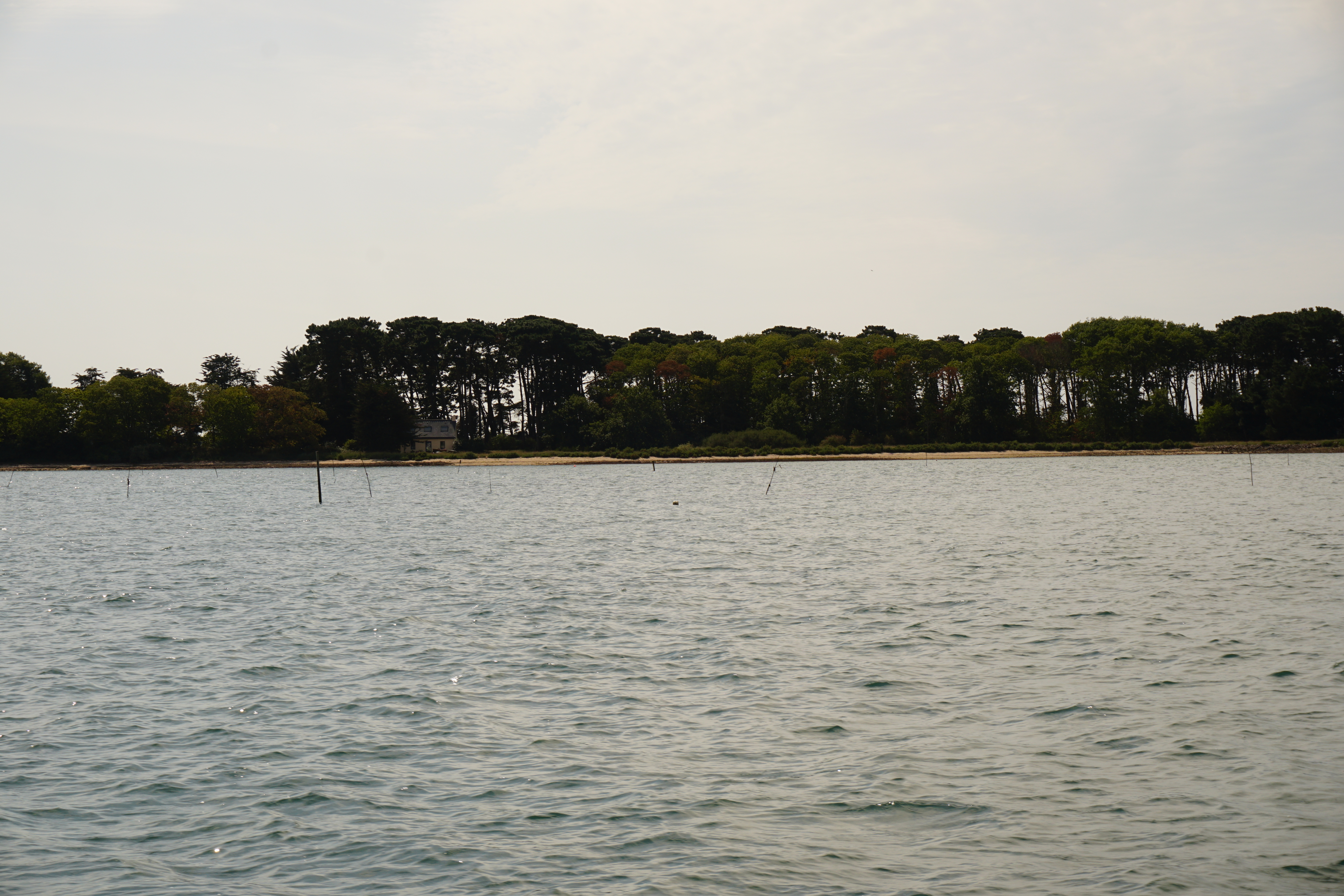 Picture France Golfe du Morbihan 2016-08 71 - Tours Golfe du Morbihan