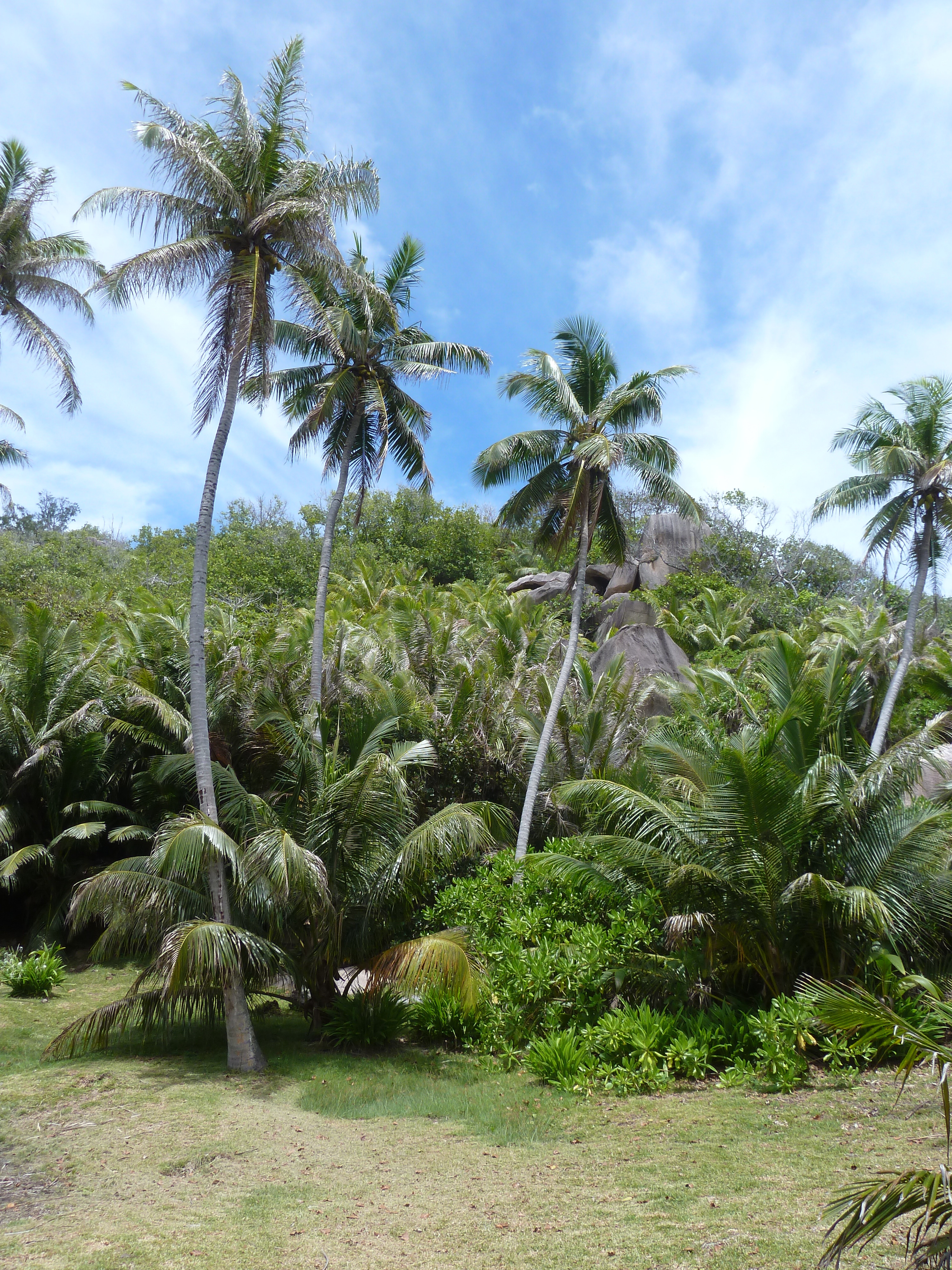 Picture Seychelles Grande Soeur 2011-10 5 - Tours Grande Soeur