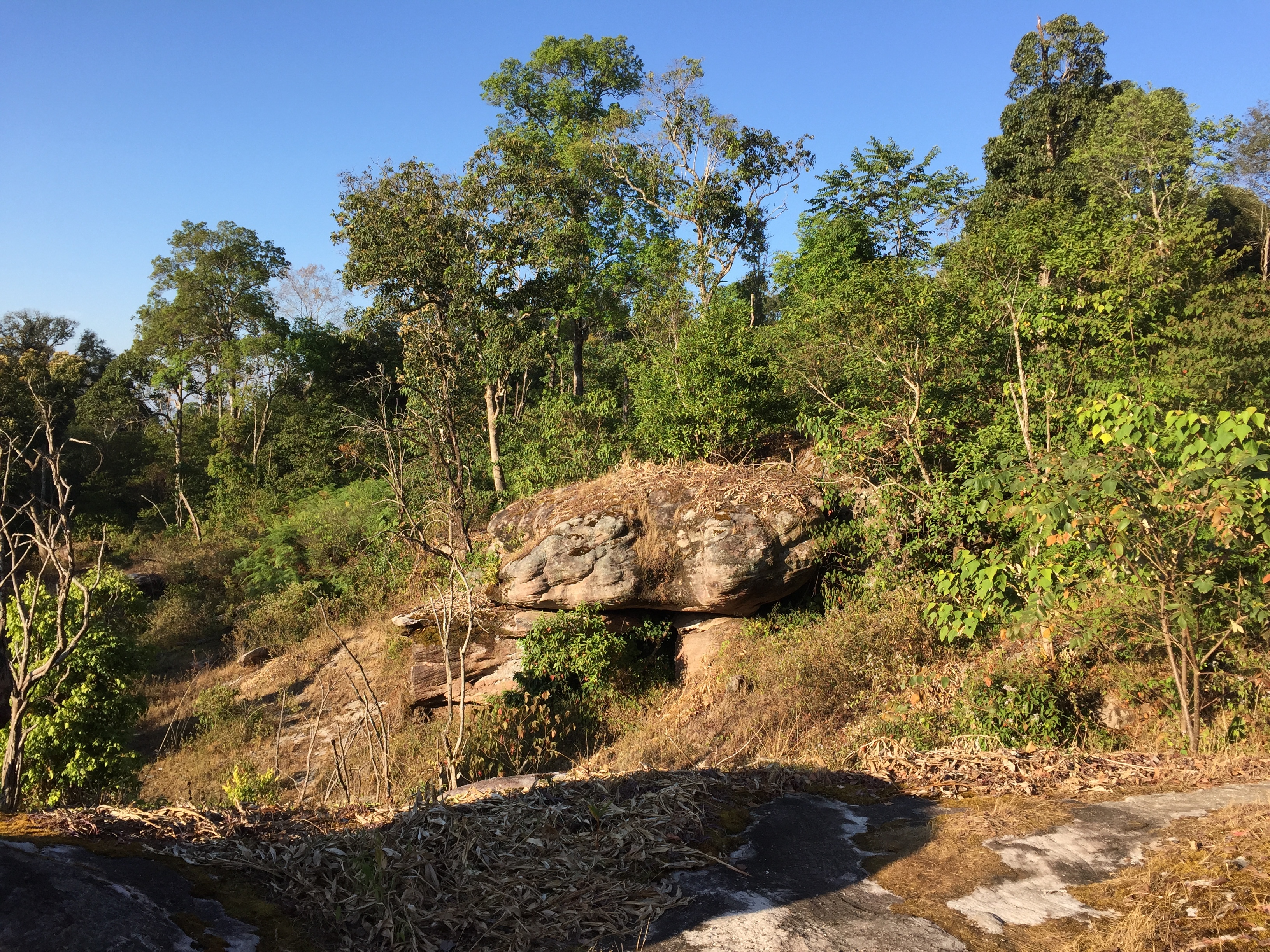 Picture Thailand Phu Hin Rong Kla National Park 2014-12 286 - Center Phu Hin Rong Kla National Park