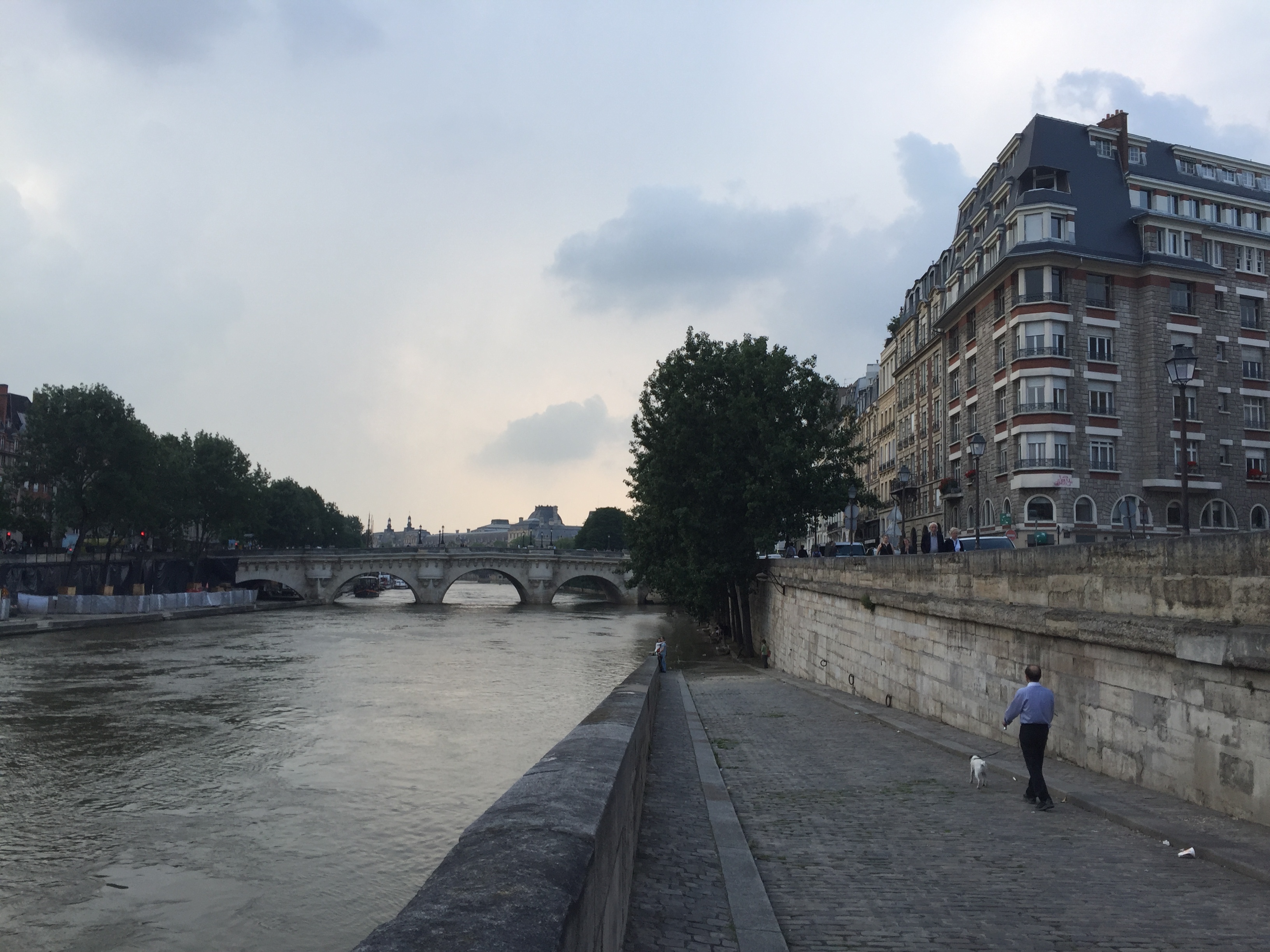 Picture France Paris Seine river 2016-06 20 - Around Seine river