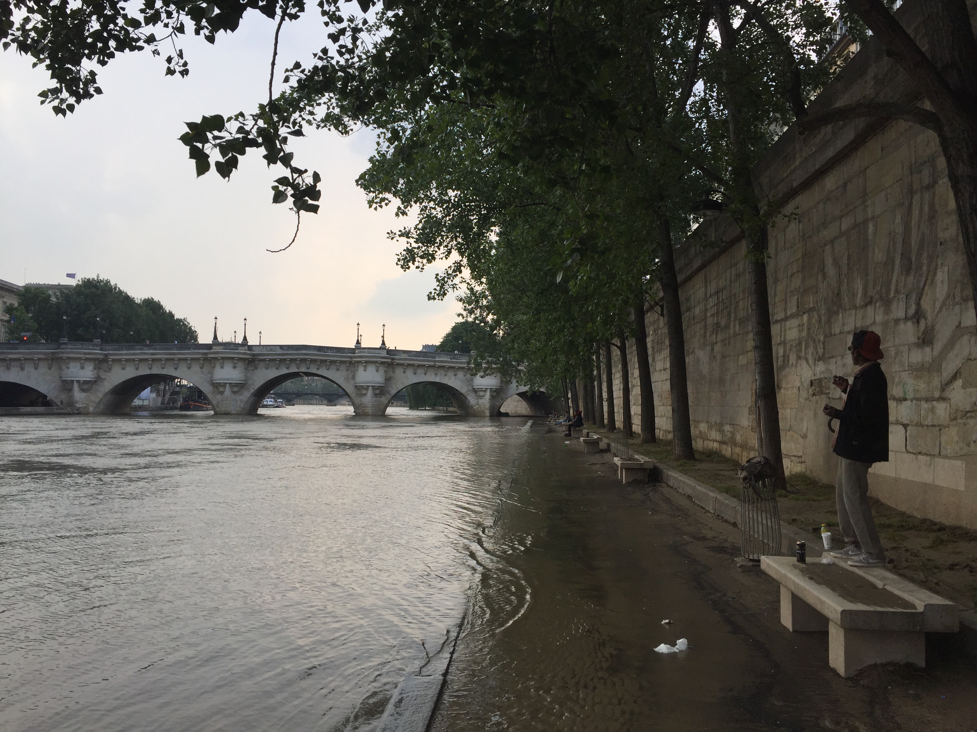 Picture France Paris Seine river 2016-06 21 - Around Seine river