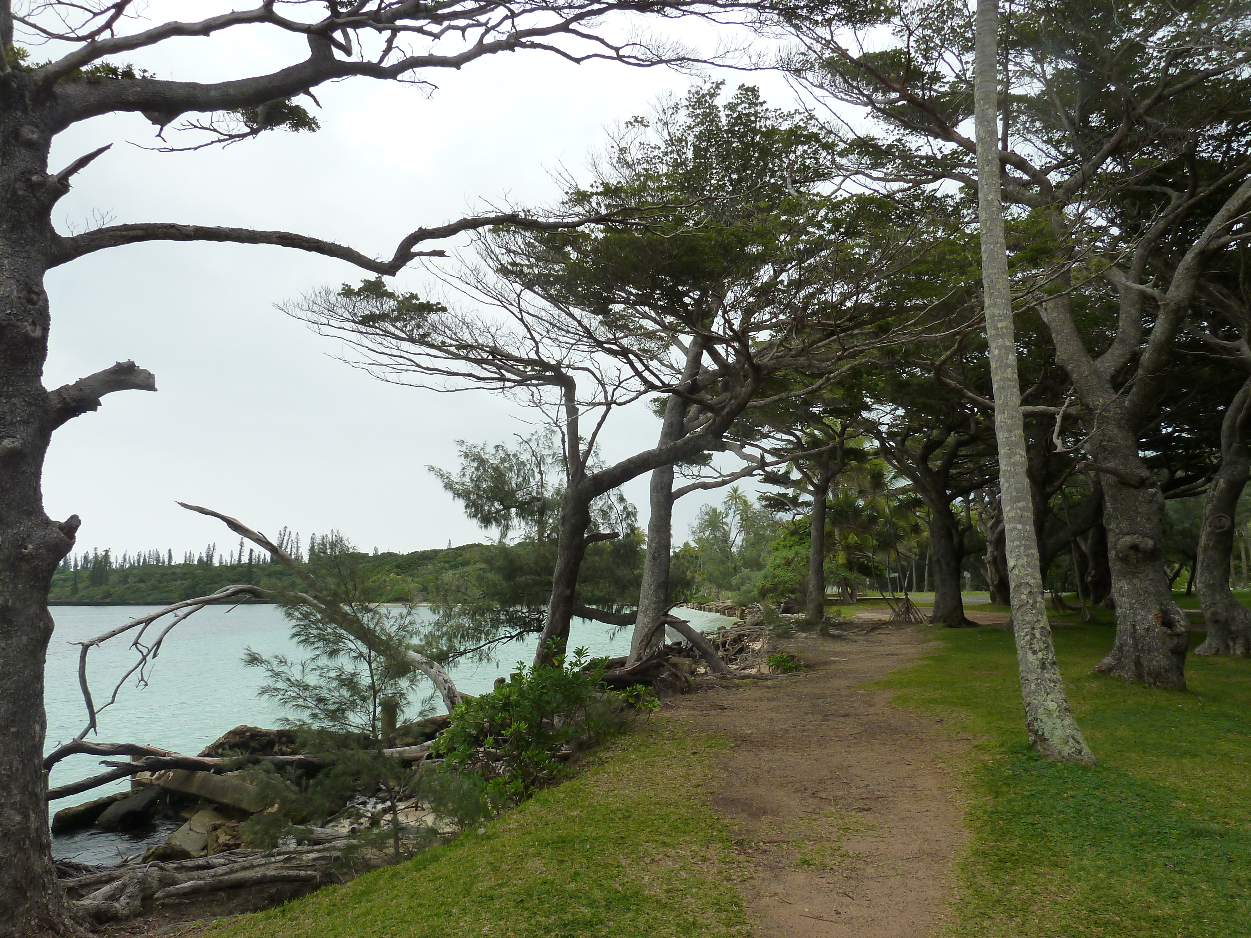 Picture New Caledonia Ile des pins Kuto Beach 2010-05 44 - Tour Kuto Beach