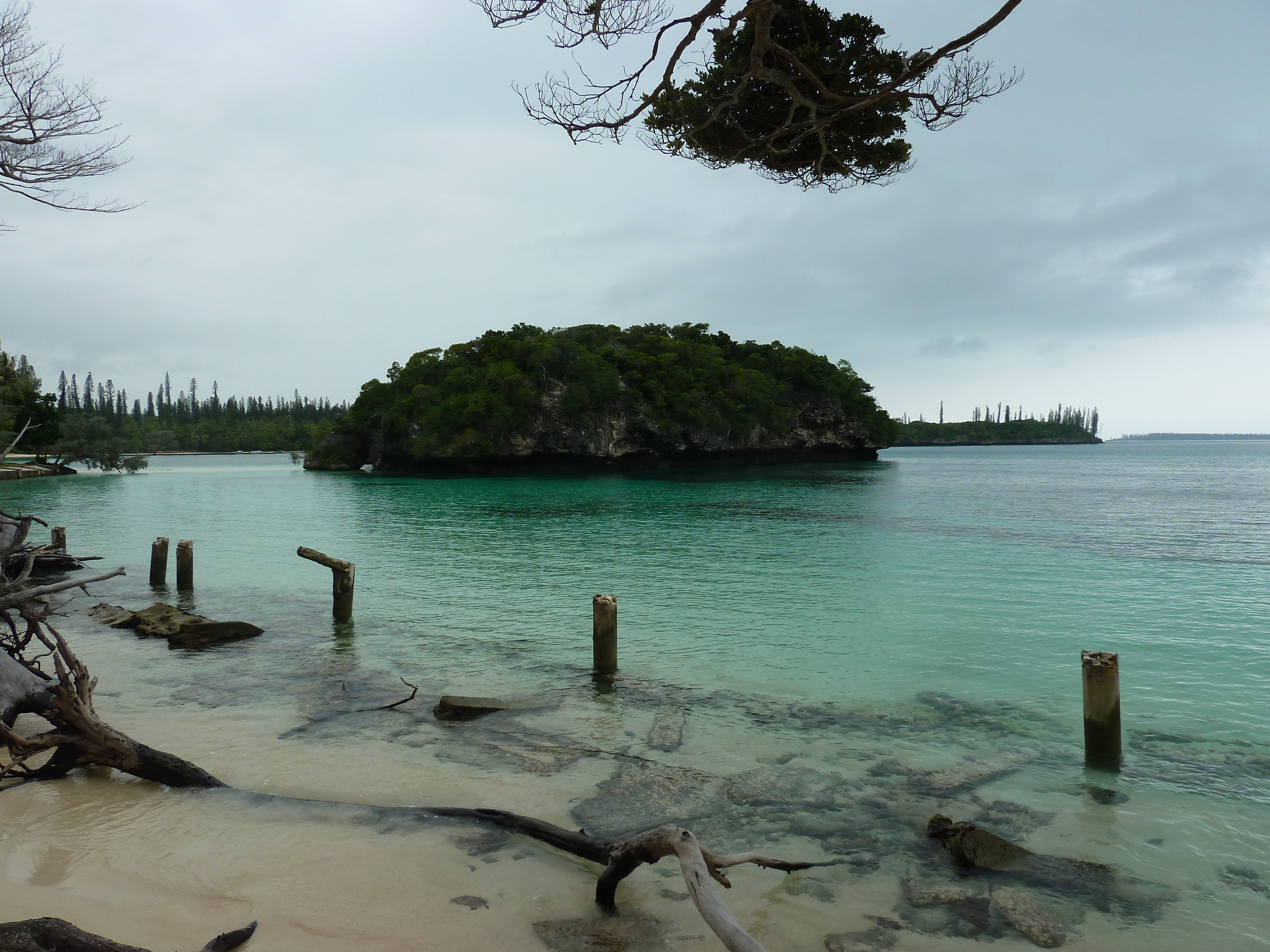 Picture New Caledonia Ile des pins Kuto Beach 2010-05 40 - Around Kuto Beach