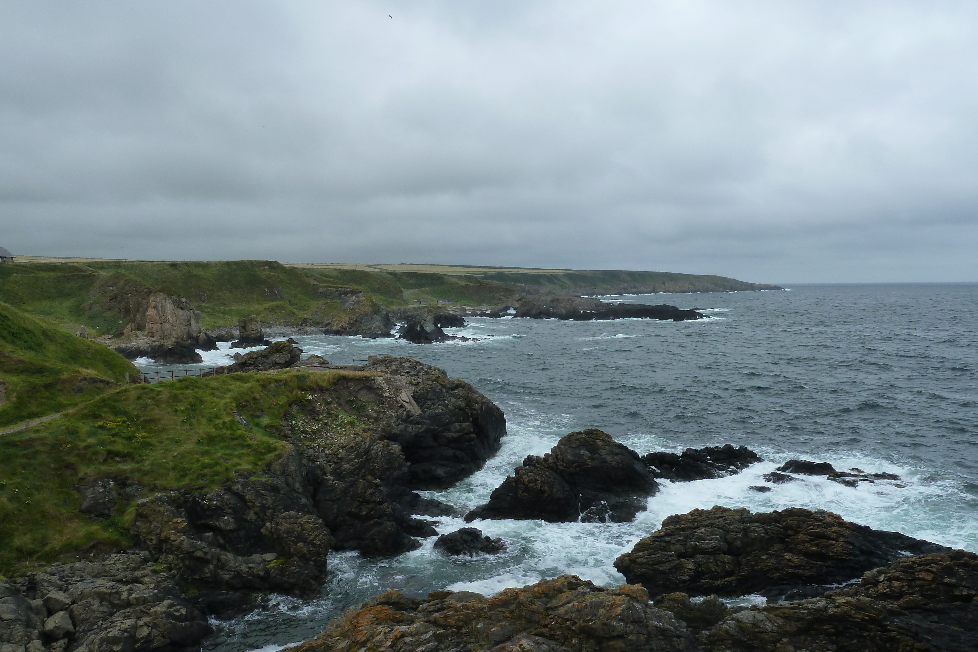 Picture United Kingdom Scotland Portsoy 2011-07 10 - Discovery Portsoy