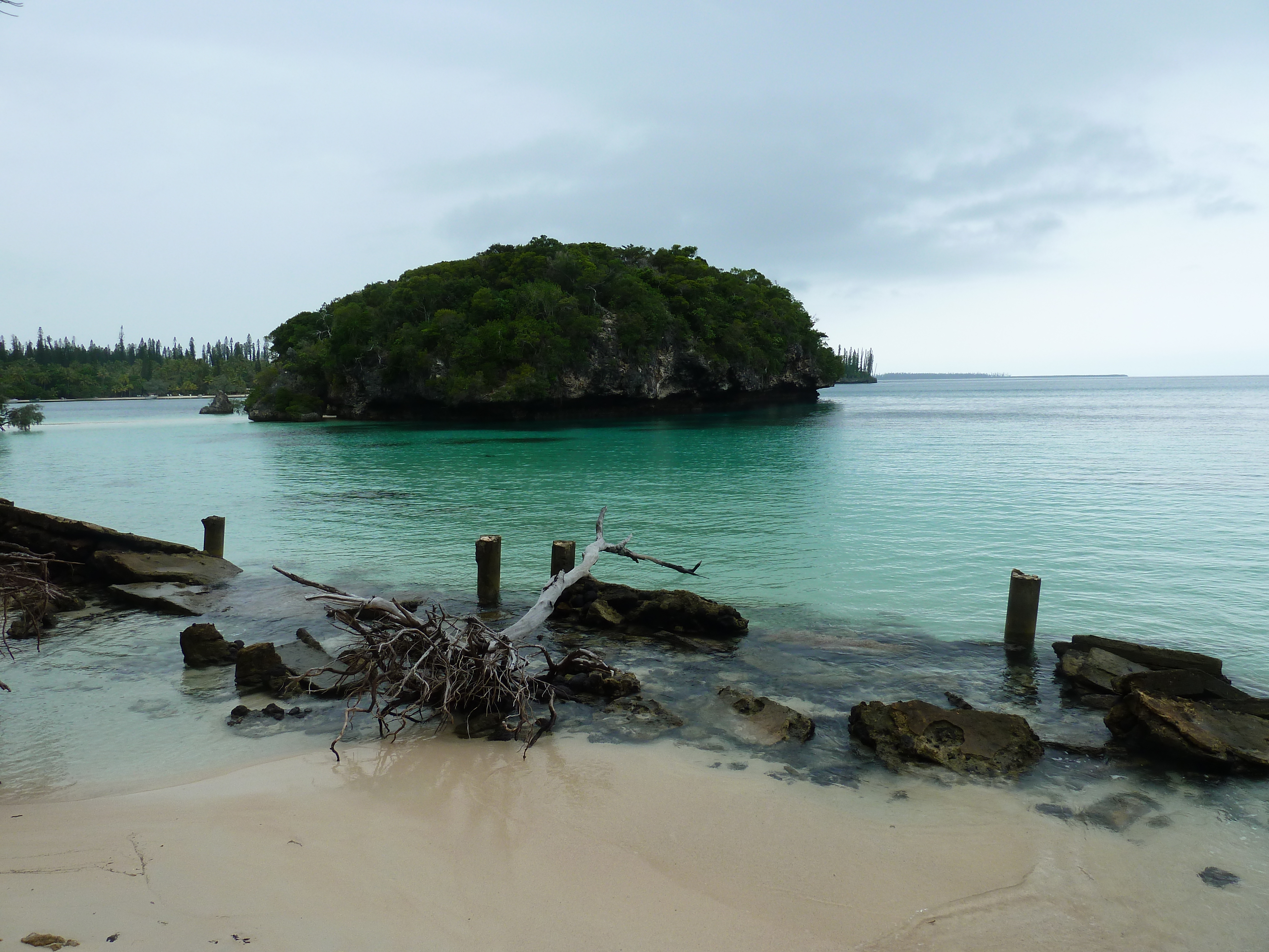 Picture New Caledonia Ile des pins Kuto Beach 2010-05 36 - Discovery Kuto Beach