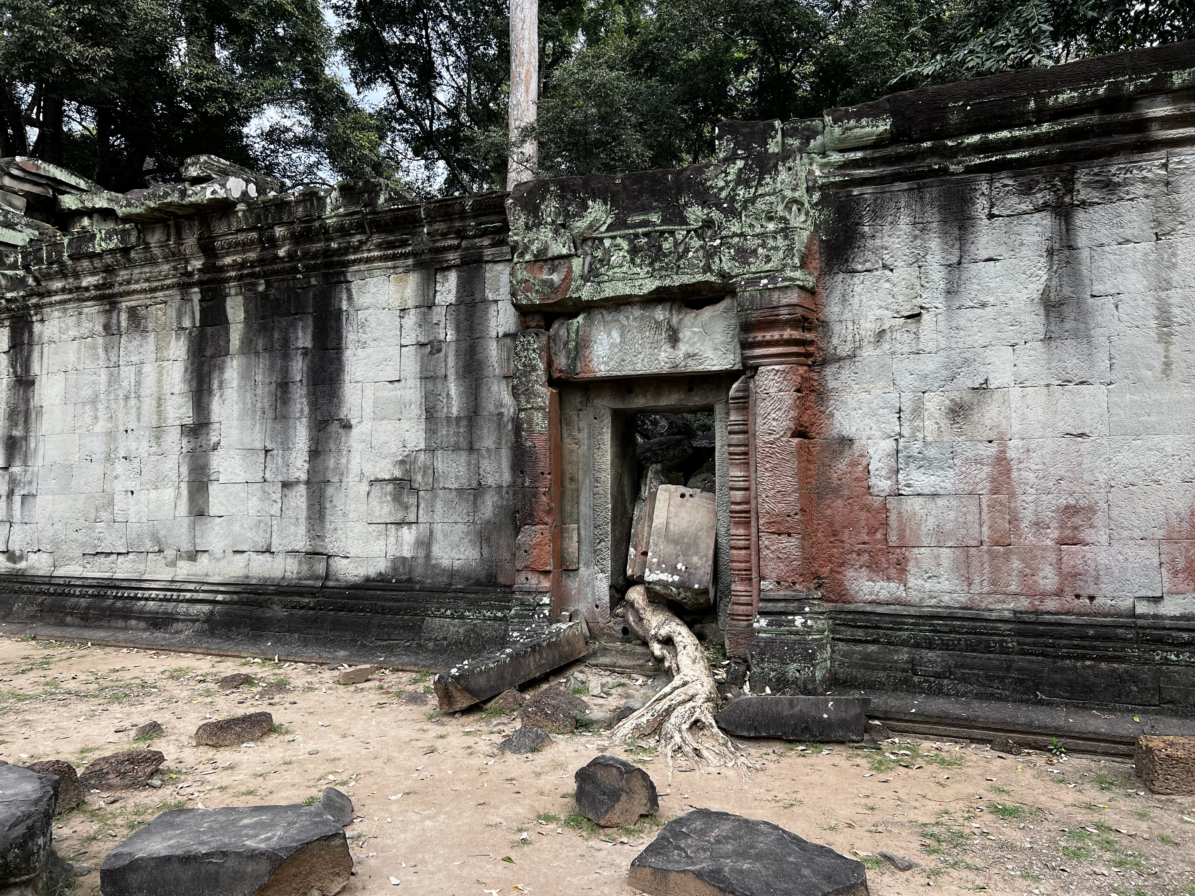 Picture Cambodia Siem Reap Ta Prohm 2023-01 140 - History Ta Prohm