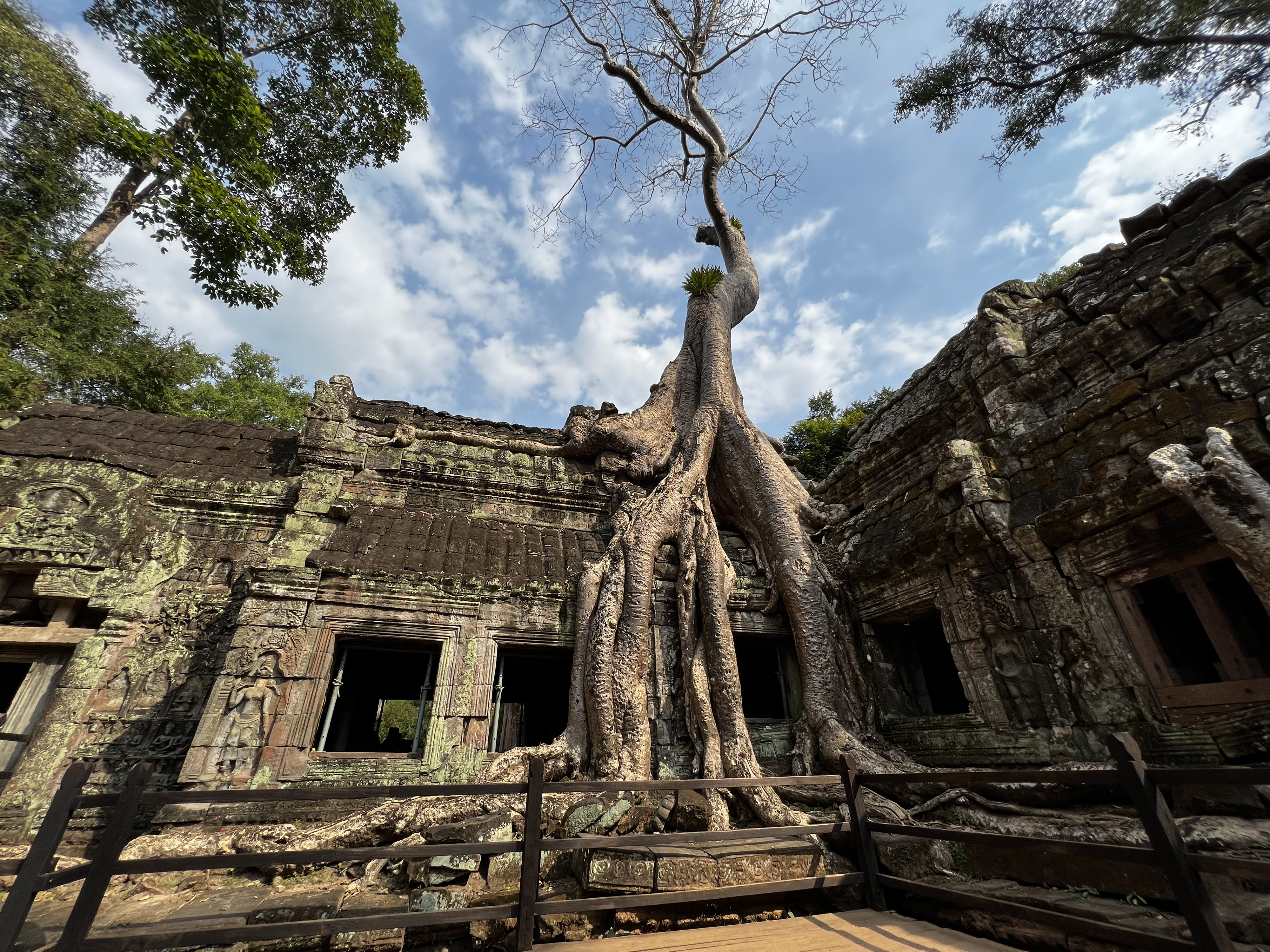 Picture Cambodia Siem Reap Ta Prohm 2023-01 104 - Journey Ta Prohm