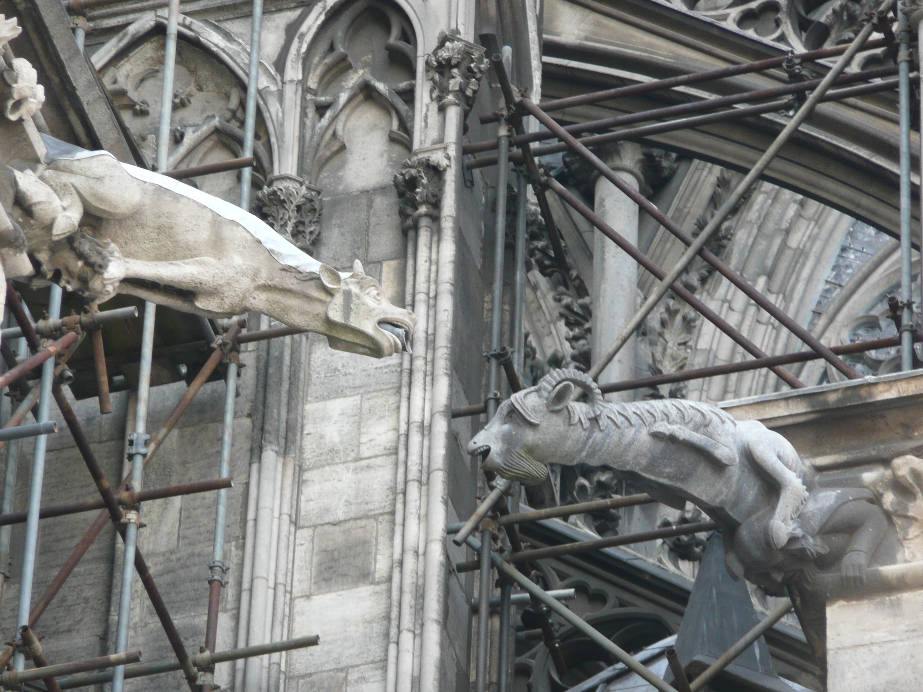 Picture Germany Cologne Cathedral 2007-05 125 - Tour Cathedral