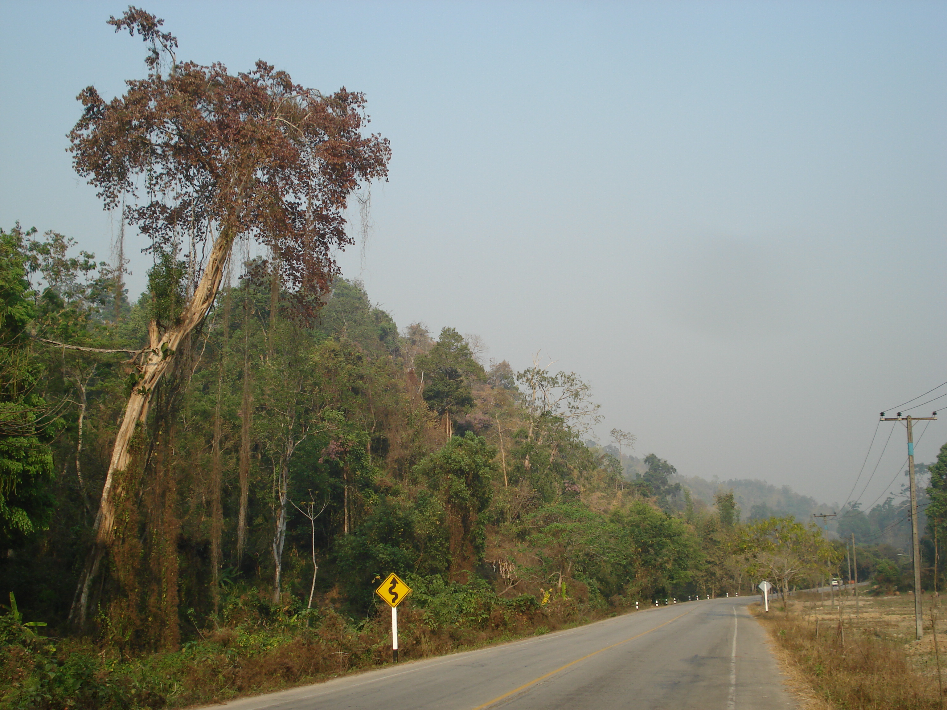 Picture Thailand Chiang Mai to Pai road 2007-02 142 - Tour Chiang Mai to Pai road