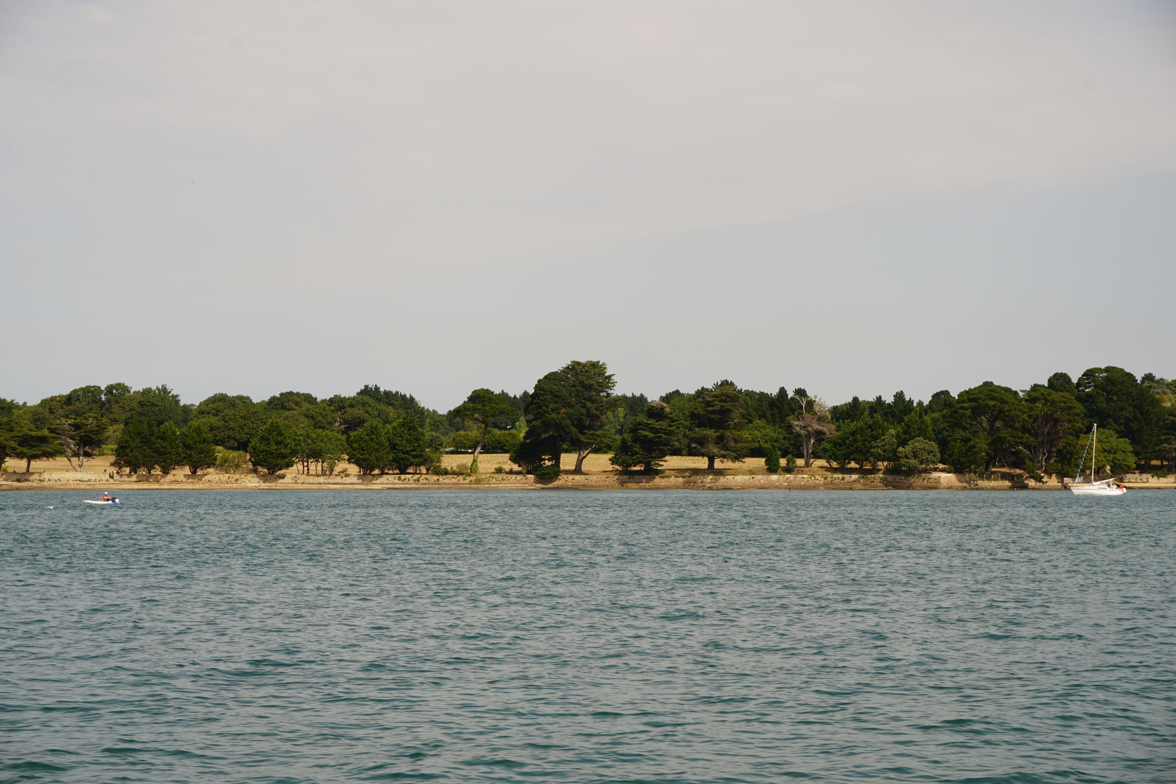 Picture France Golfe du Morbihan 2016-08 61 - Discovery Golfe du Morbihan