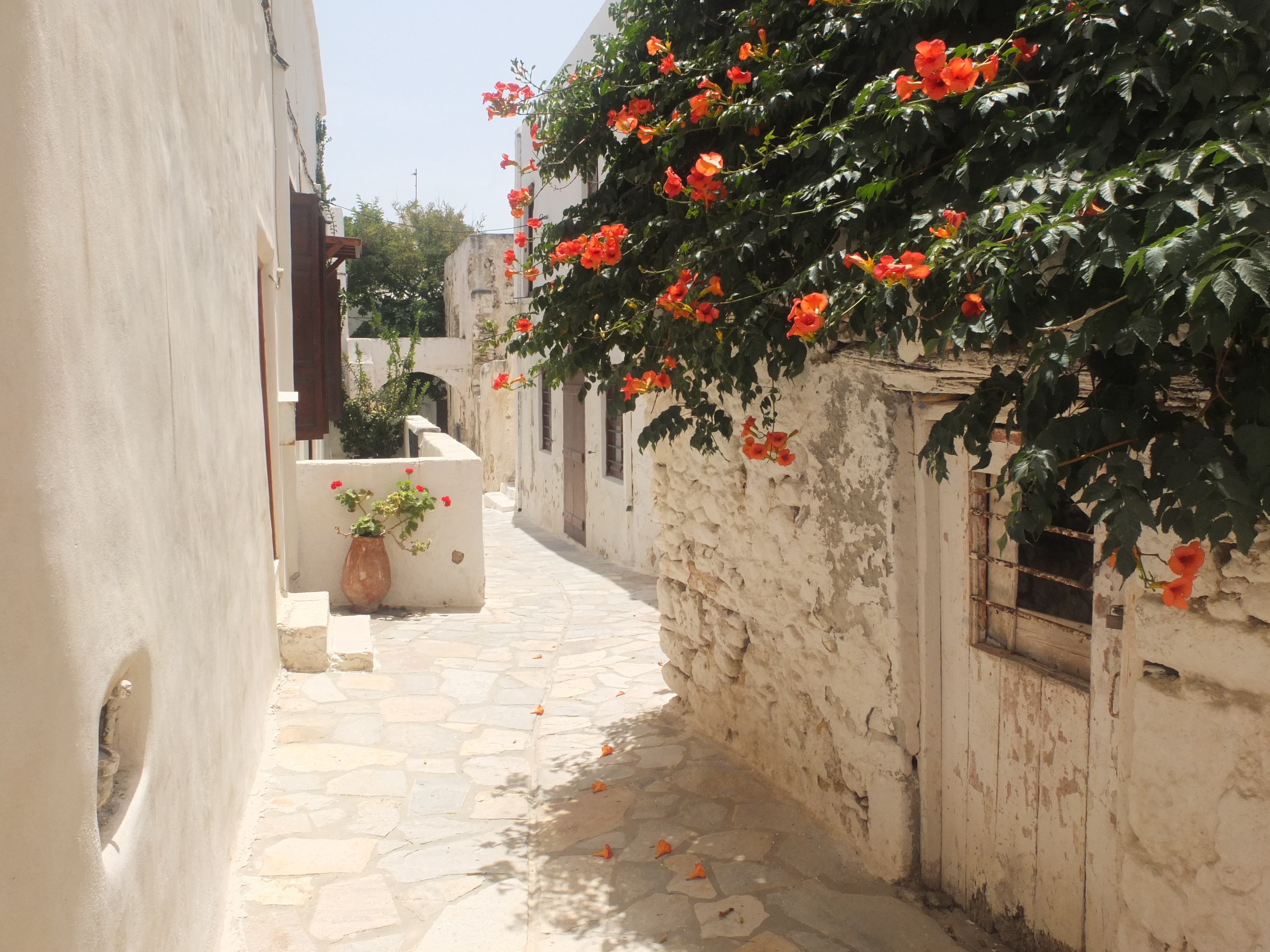 Picture Greece Naxos 2014-07 31 - Around Naxos