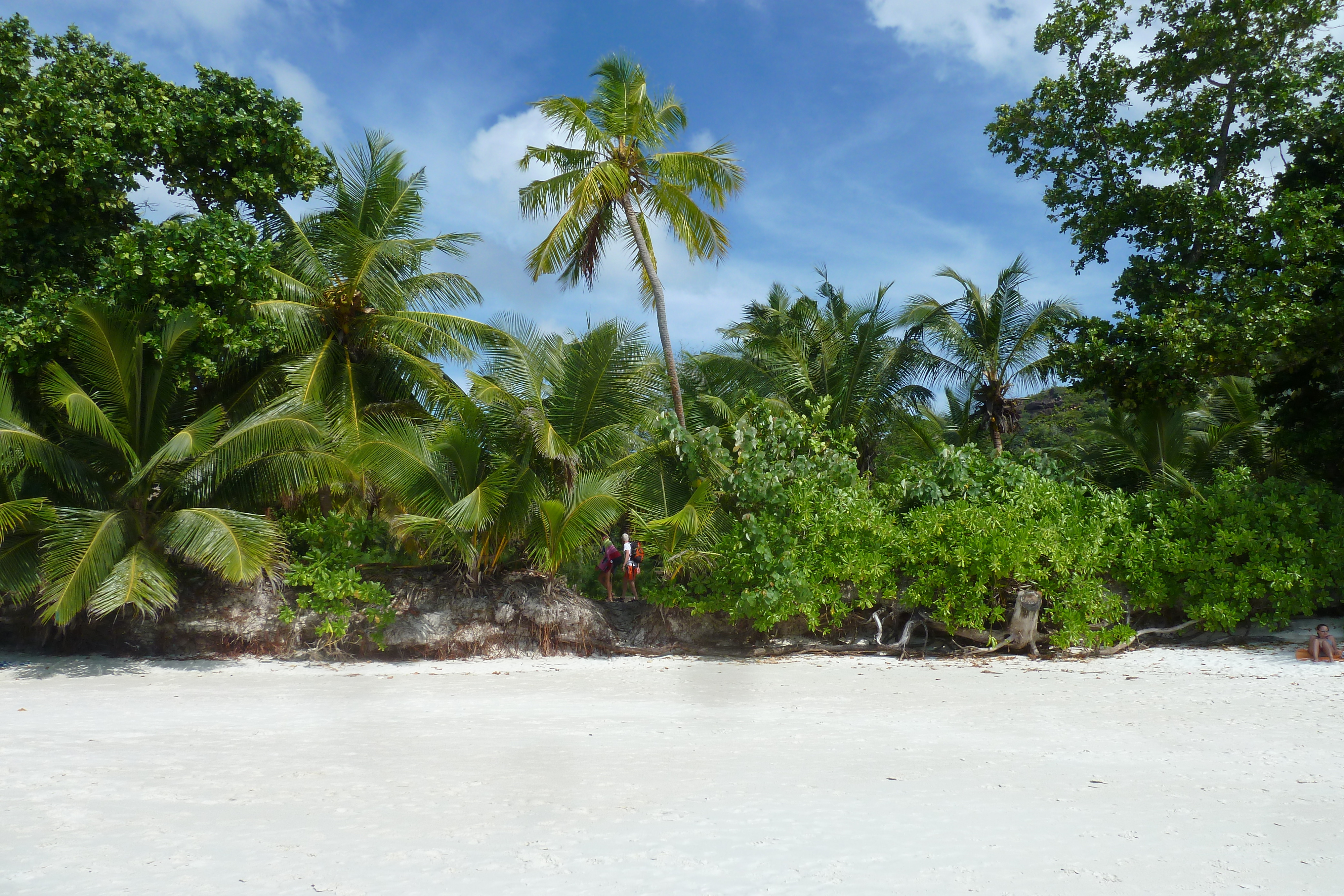 Picture Seychelles 2011-10 139 - Tours Seychelles