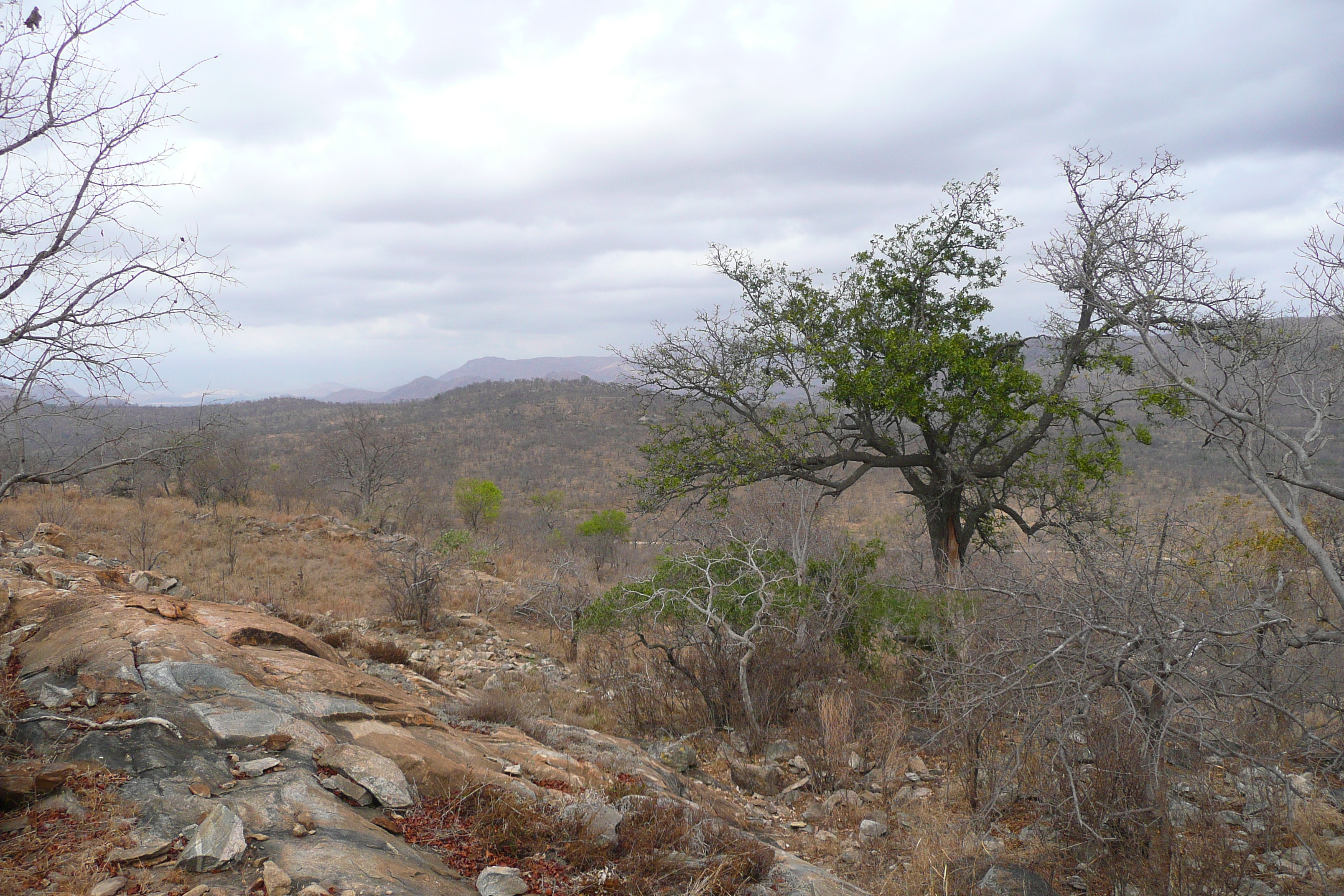 Picture South Africa Kruger National Park 2008-09 164 - History Kruger National Park