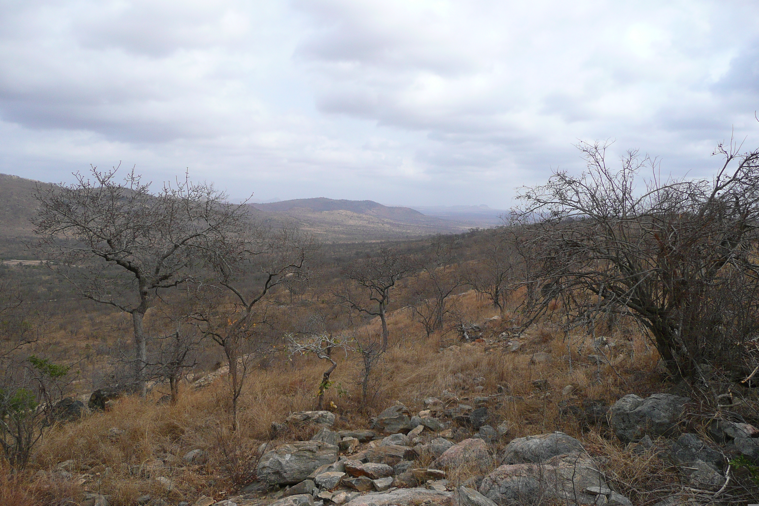 Picture South Africa Kruger National Park 2008-09 169 - Discovery Kruger National Park