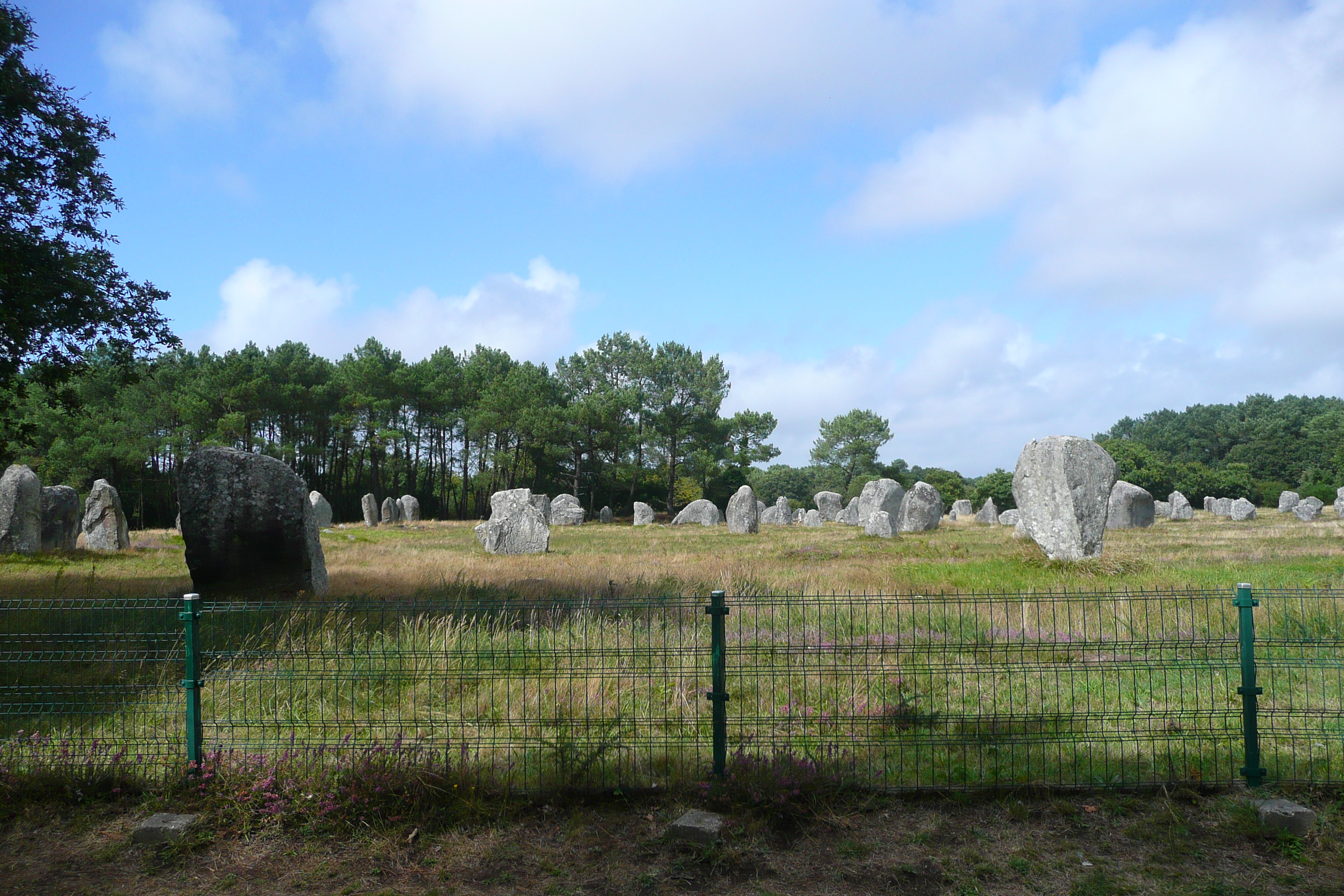 Picture France Carnac 2008-07 17 - Discovery Carnac