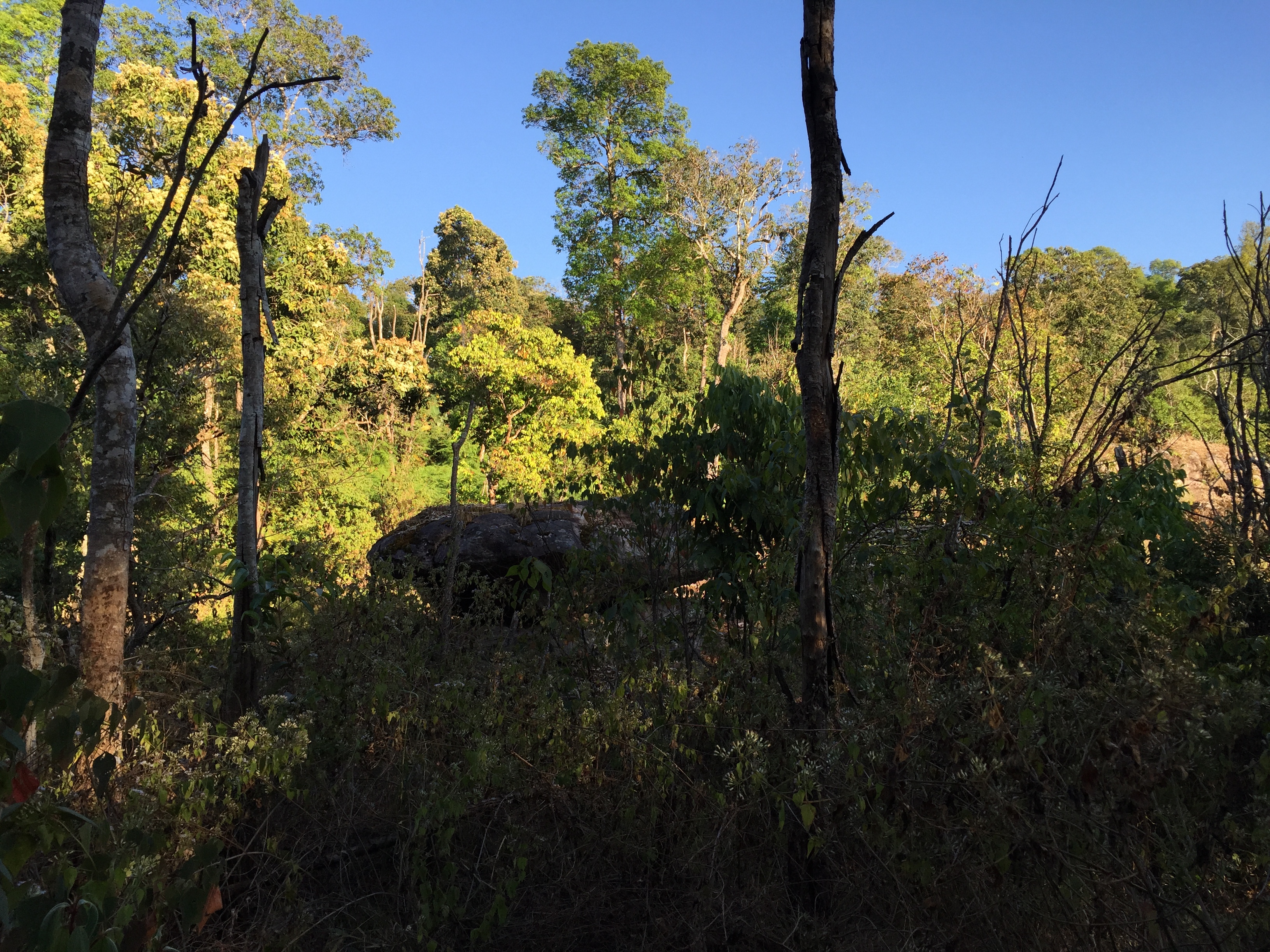 Picture Thailand Phu Hin Rong Kla National Park 2014-12 387 - Tour Phu Hin Rong Kla National Park