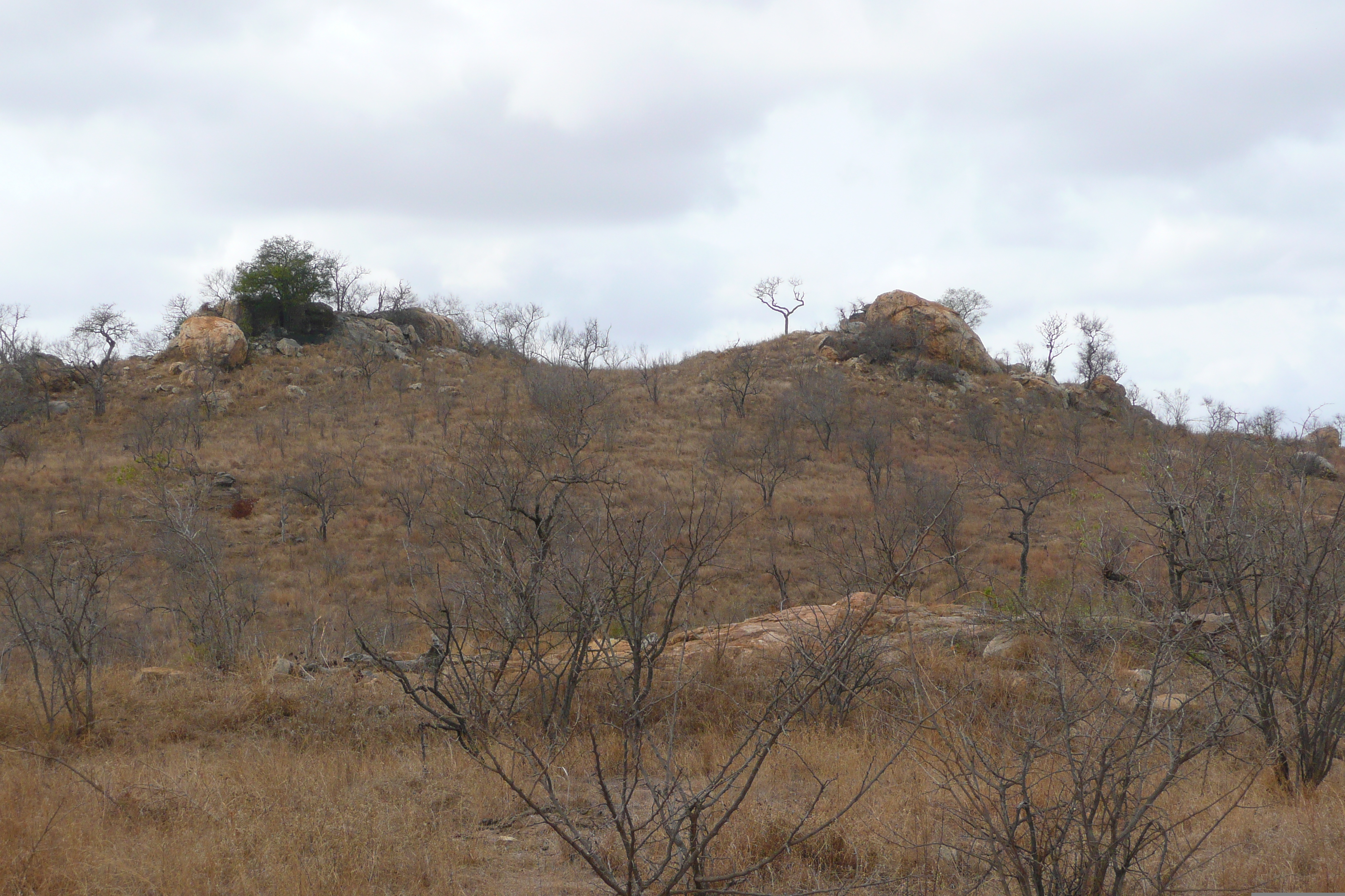 Picture South Africa Kruger National Park 2008-09 116 - History Kruger National Park