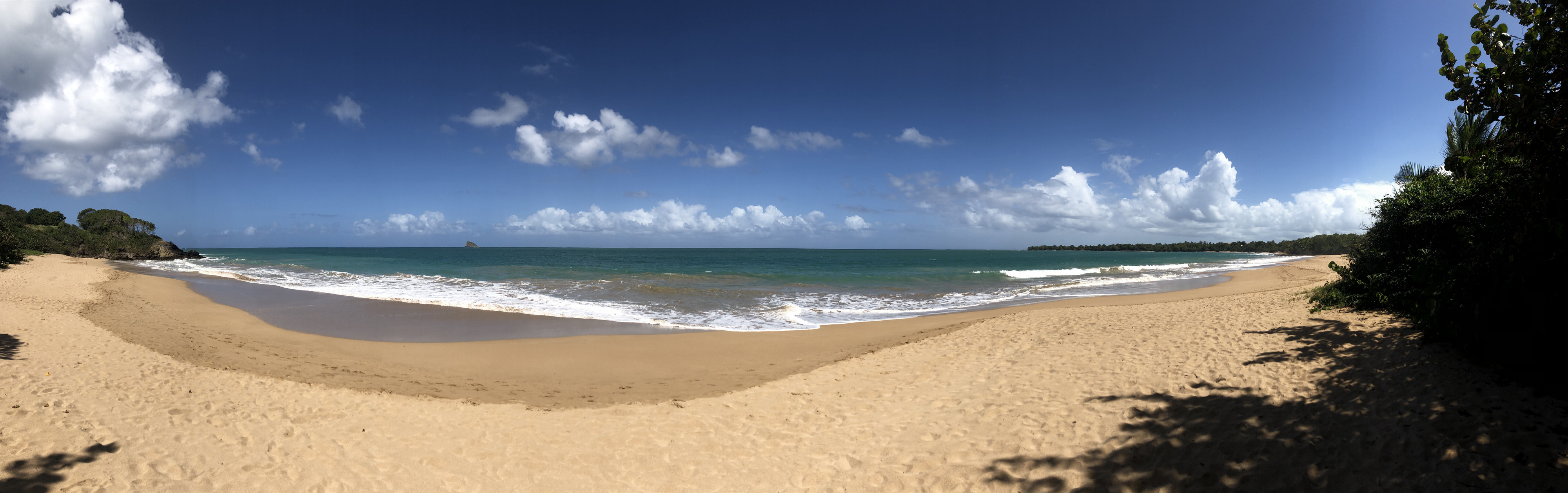 Picture Guadeloupe La Perle Beach 2021-02 132 - Tour La Perle Beach