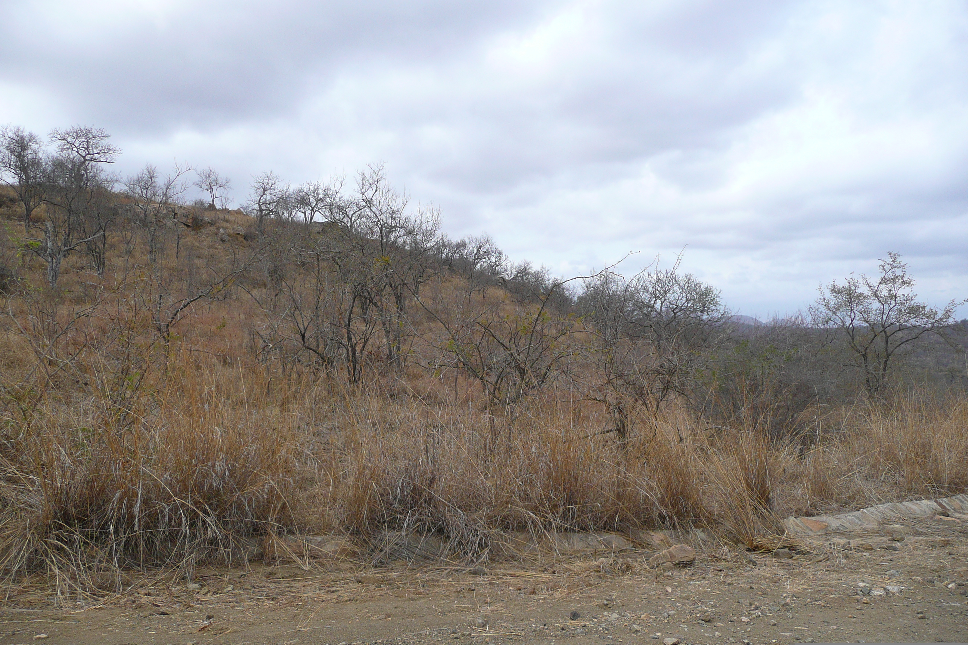 Picture South Africa Kruger National Park 2008-09 107 - Tour Kruger National Park