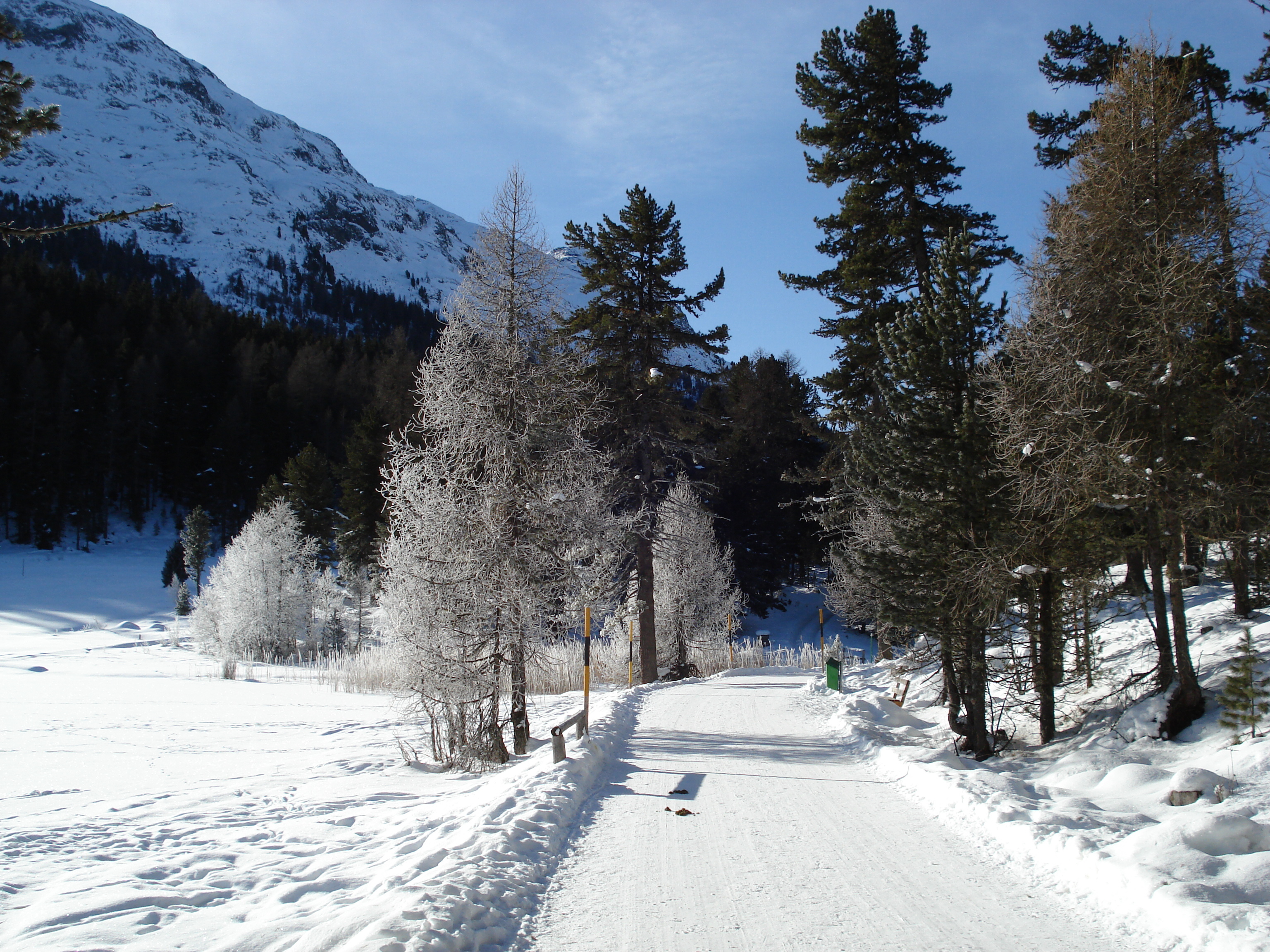 Picture Swiss St Moritz Schlarigna 2007-01 2 - History St Moritz Schlarigna