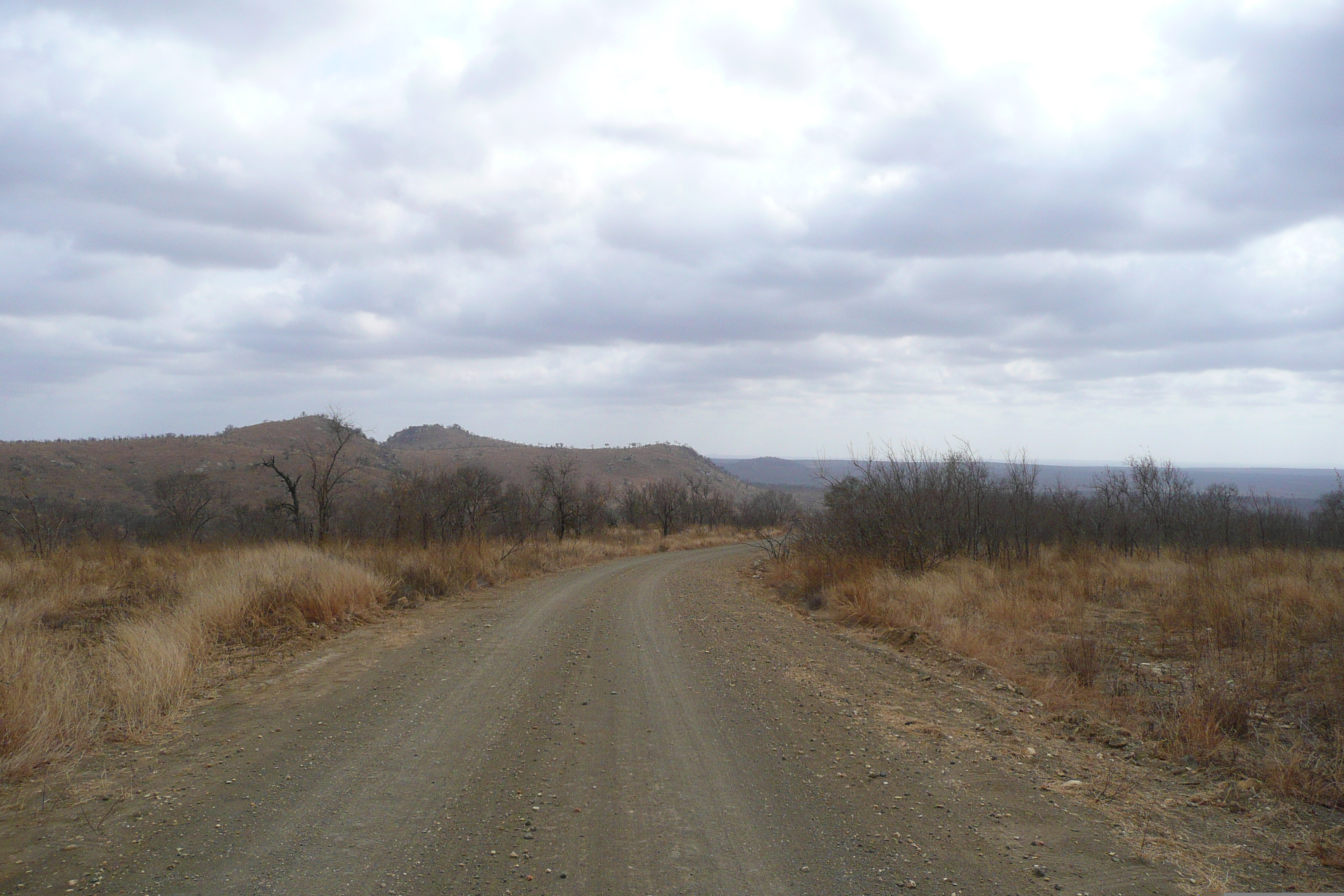 Picture South Africa Kruger National Park 2008-09 124 - Tour Kruger National Park