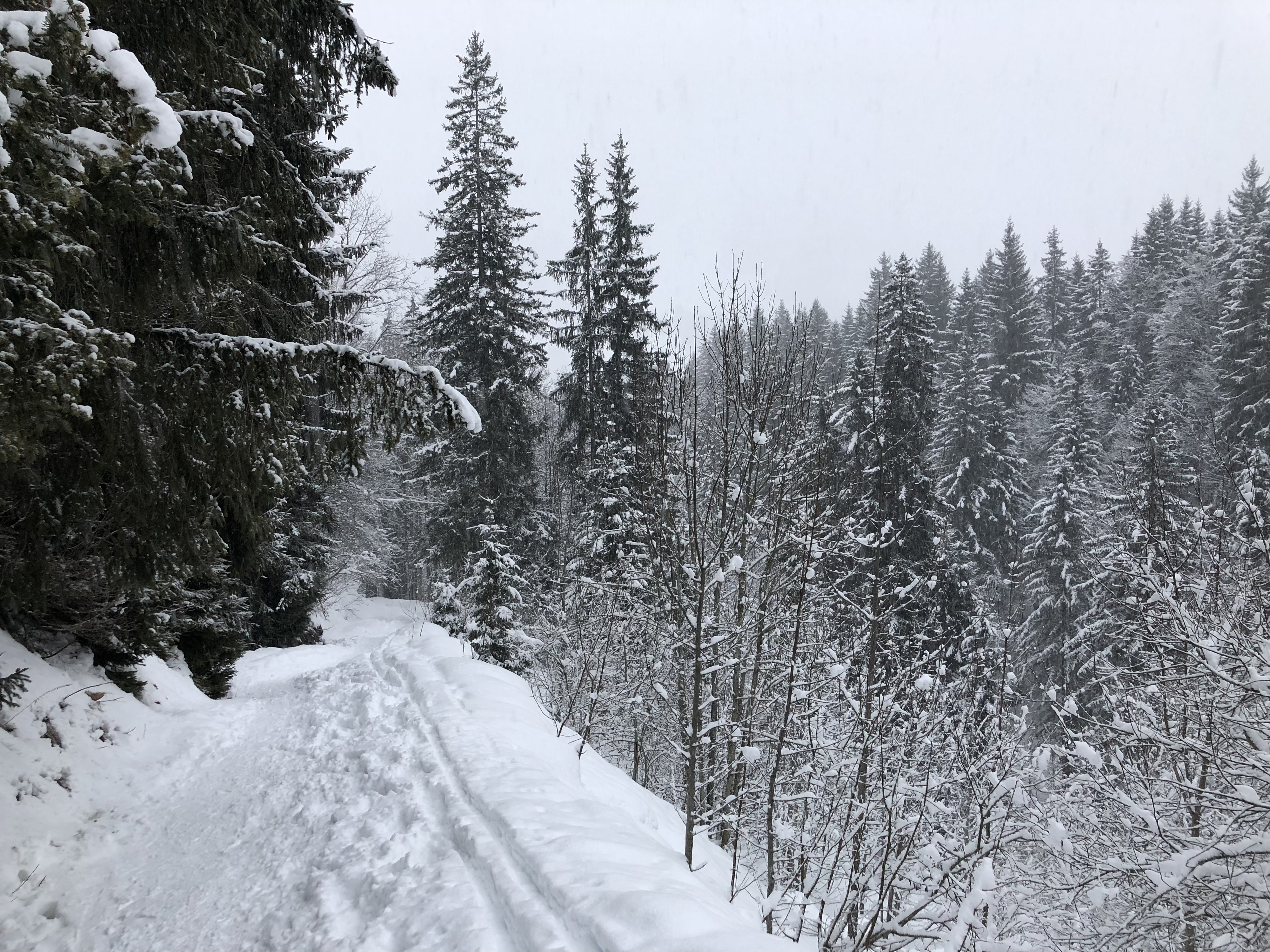 Picture France La Clusaz 2017-12 191 - Recreation La Clusaz