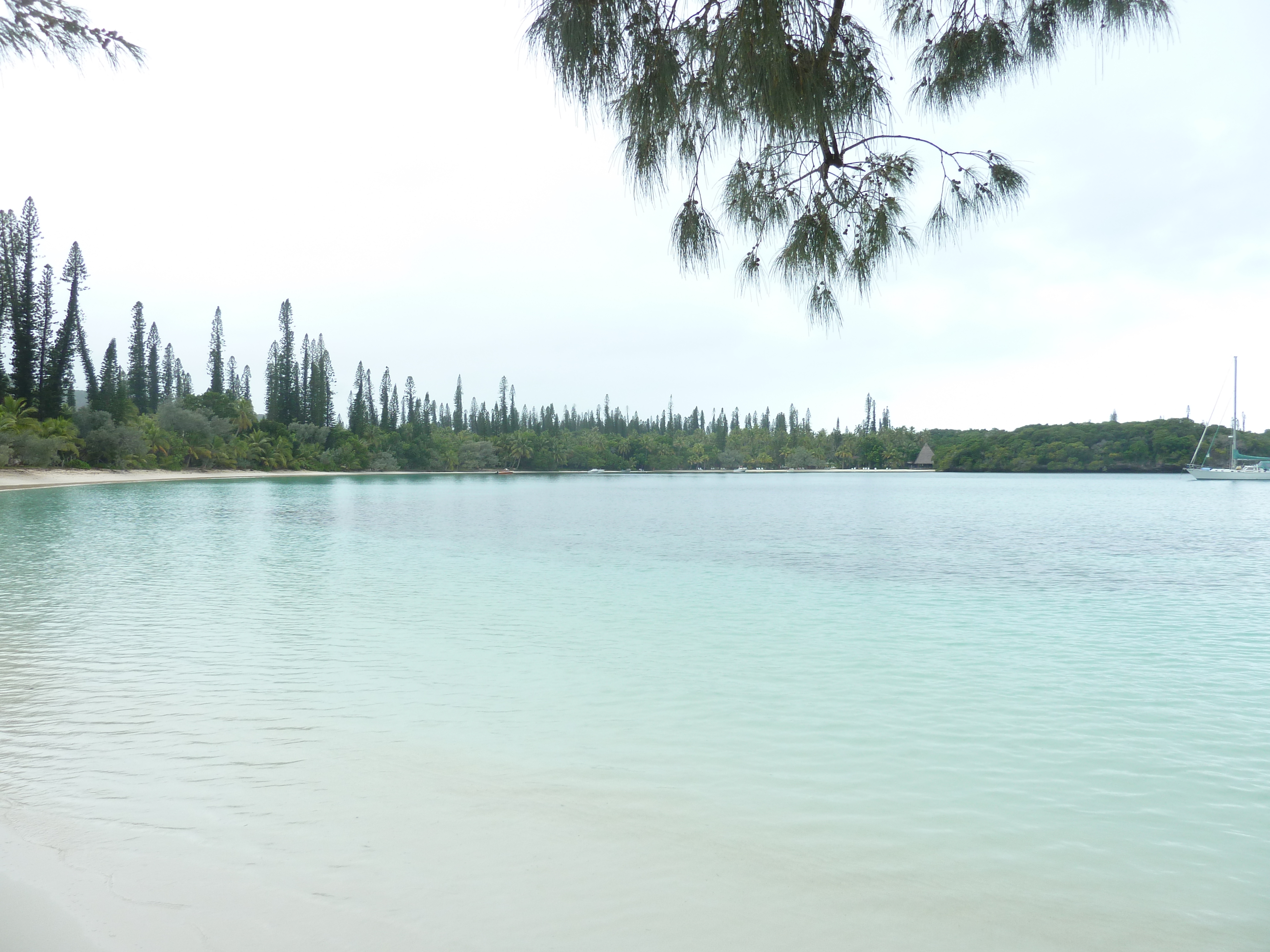 Picture New Caledonia Ile des pins Kuto Beach 2010-05 46 - Center Kuto Beach