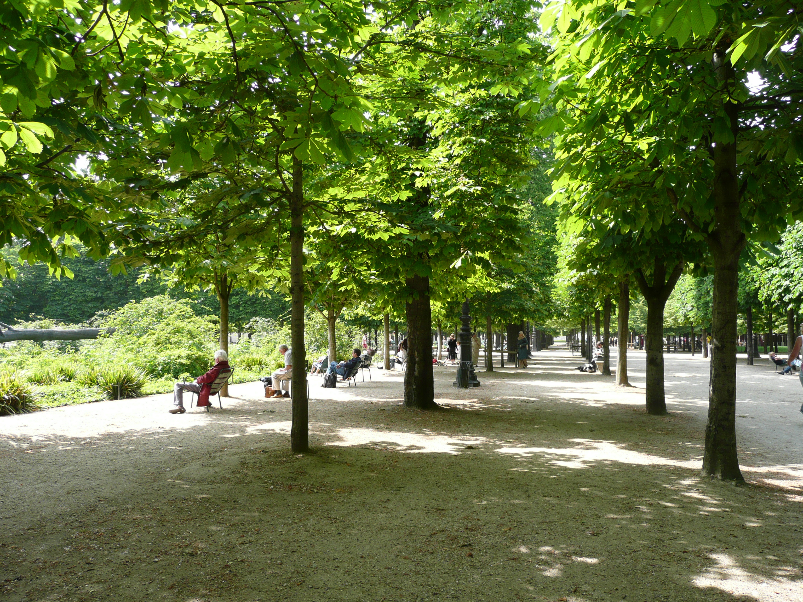 Picture France Paris Garden of Tuileries 2007-05 213 - Tour Garden of Tuileries