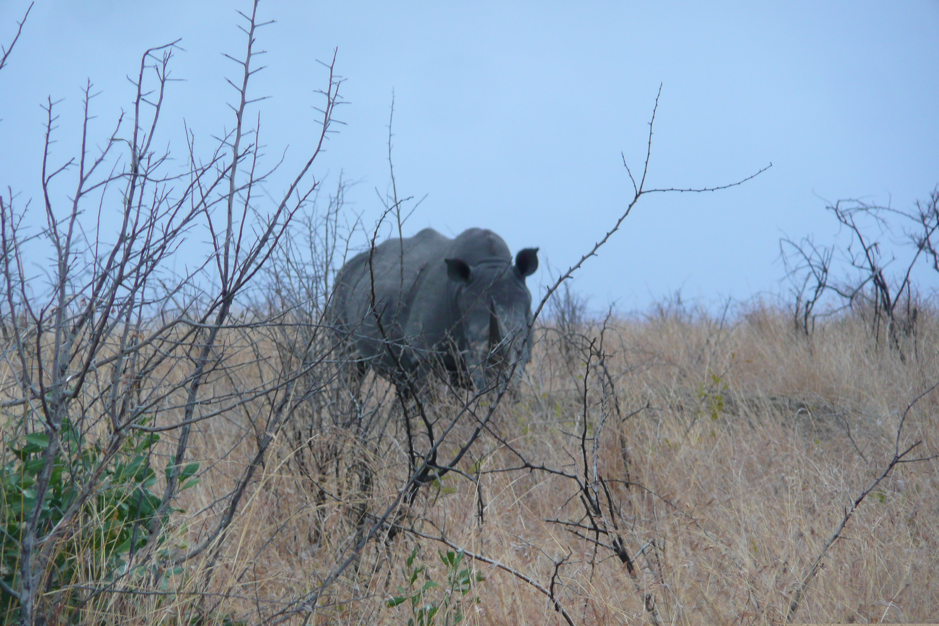 Picture South Africa Kruger National Park 2008-09 146 - Recreation Kruger National Park