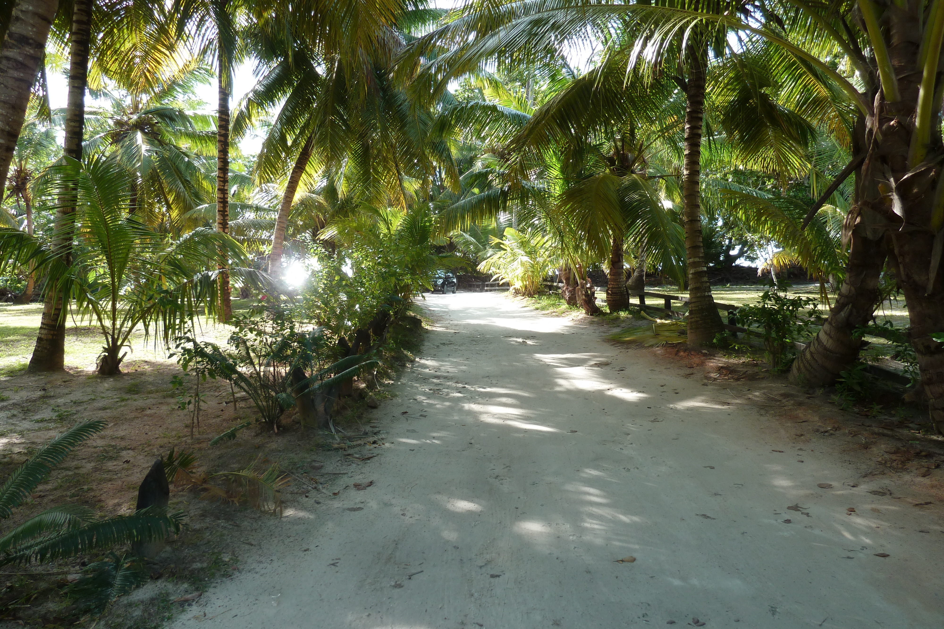 Picture Seychelles Anse Lazio 2011-10 148 - Around Anse Lazio