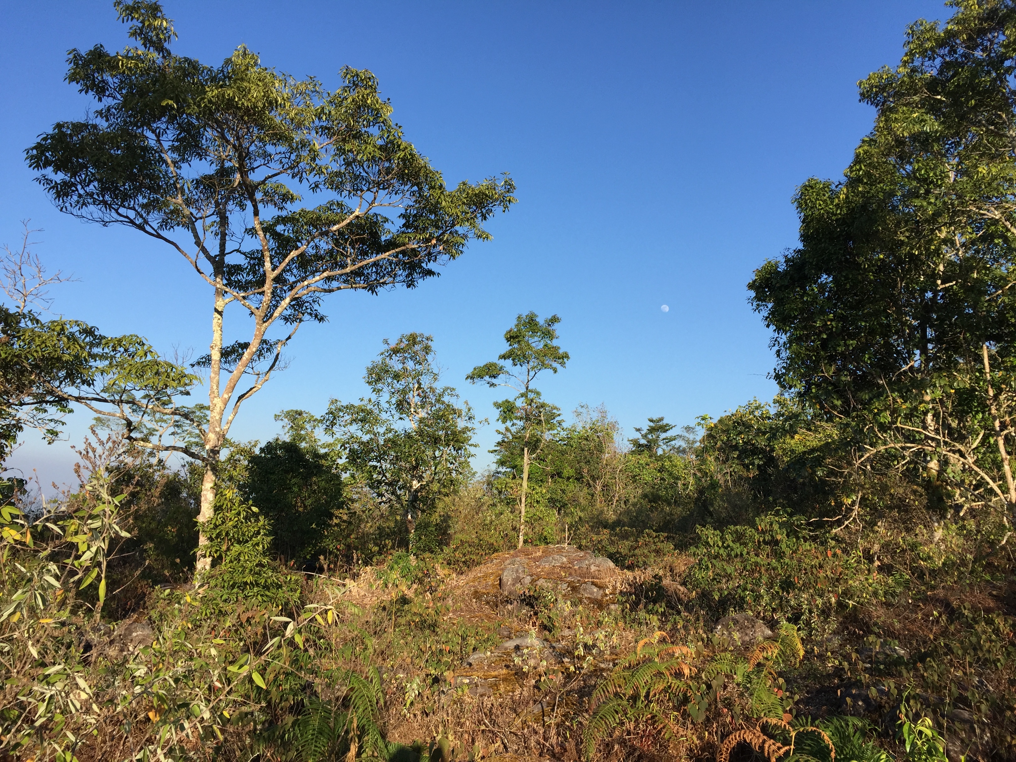 Picture Thailand Phu Hin Rong Kla National Park 2014-12 315 - Around Phu Hin Rong Kla National Park