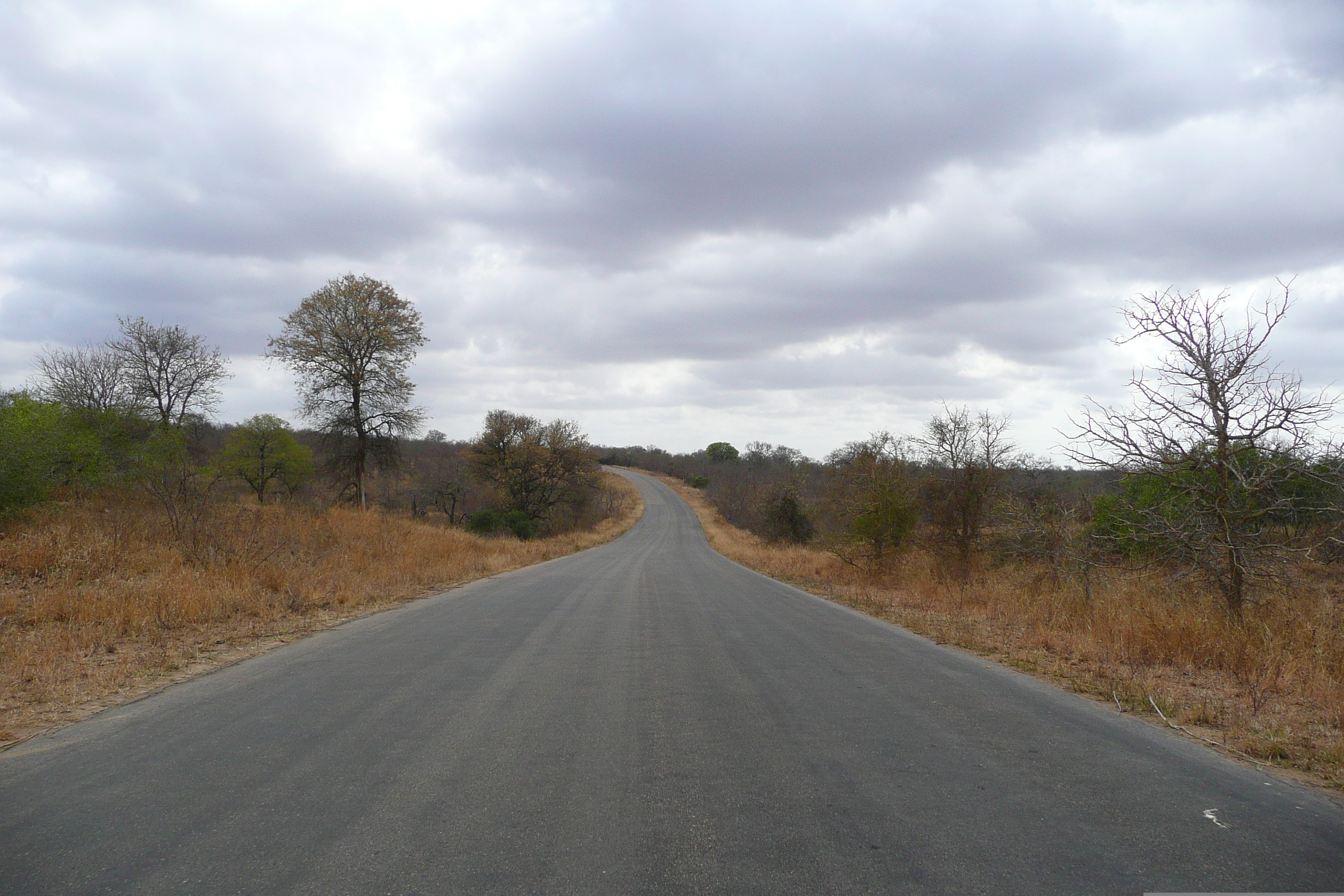 Picture South Africa Kruger National Park 2008-09 59 - Around Kruger National Park