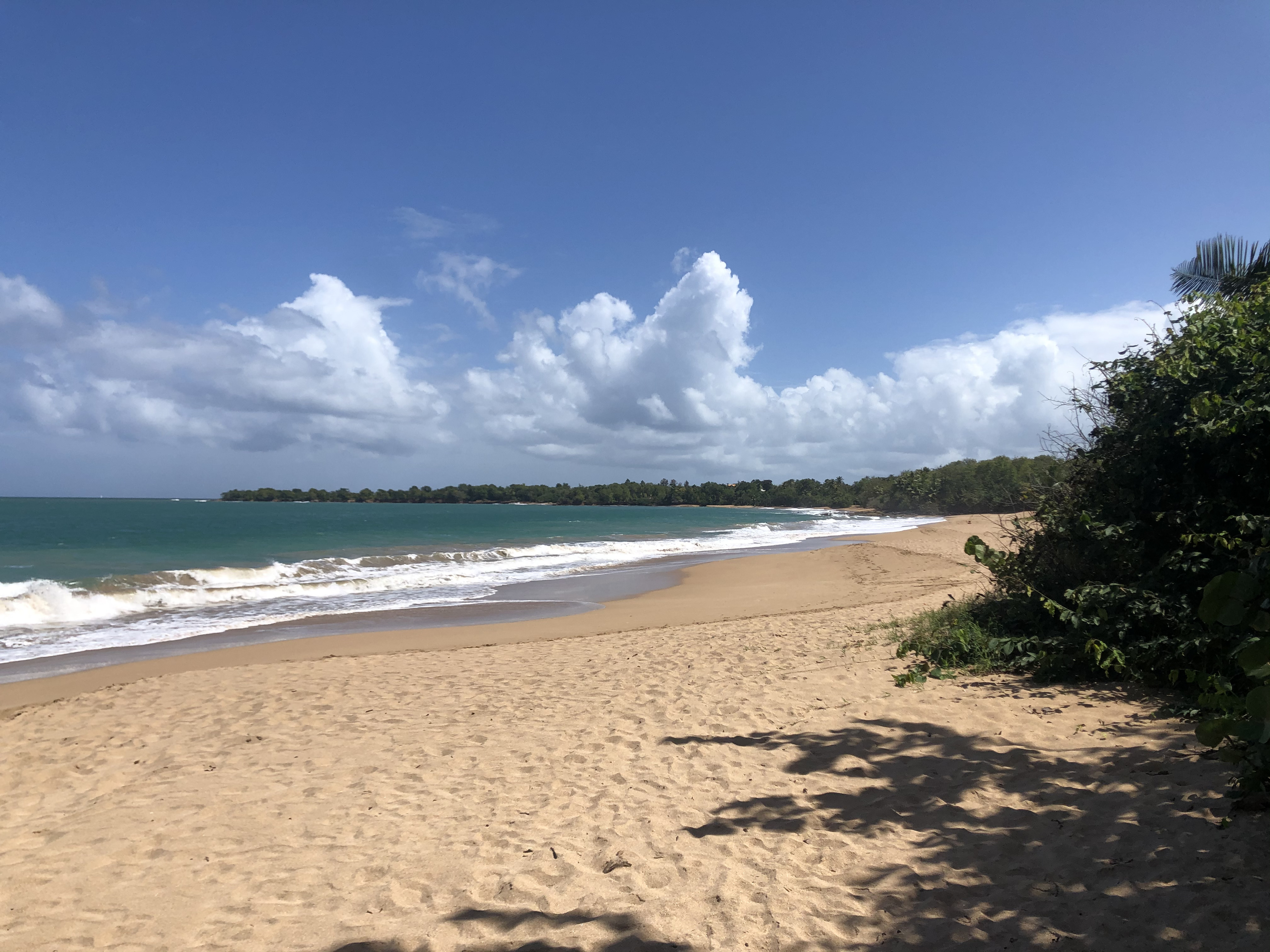 Picture Guadeloupe La Perle Beach 2021-02 72 - Around La Perle Beach