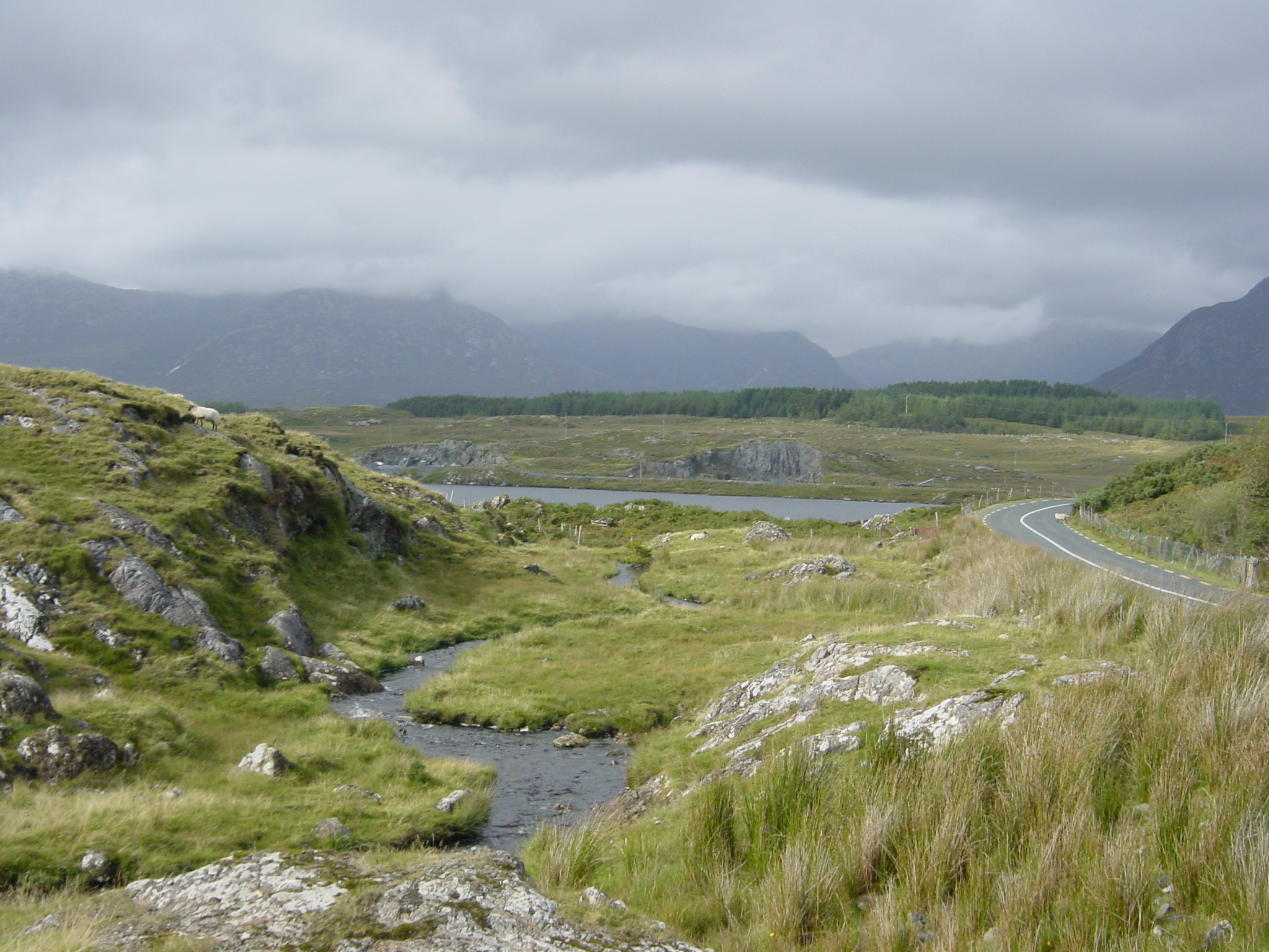 Picture Ireland Connemara 2003-09 60 - Journey Connemara