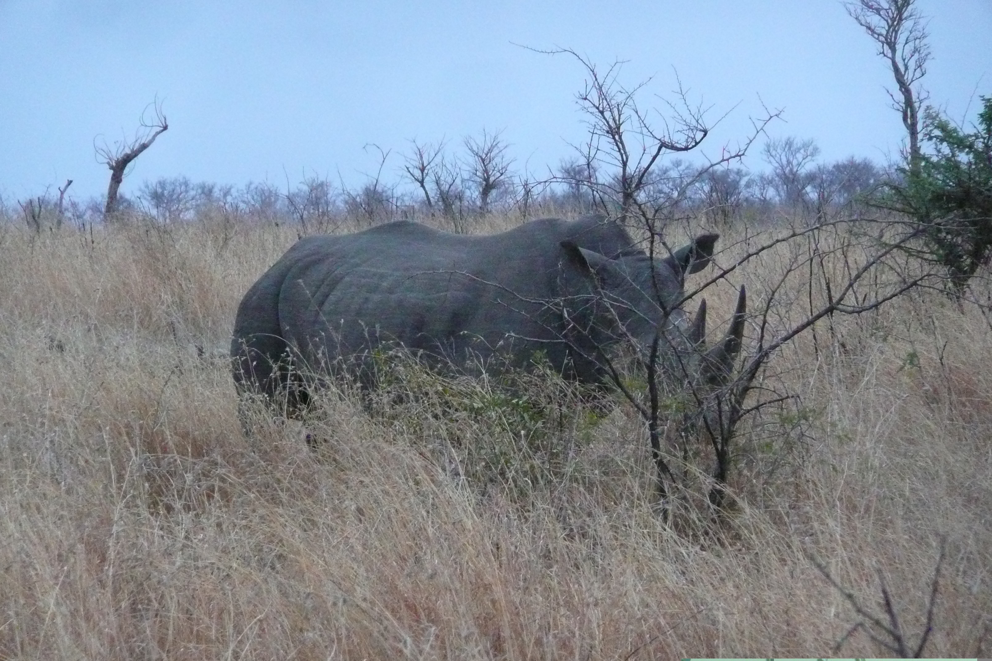 Picture South Africa Kruger National Park 2008-09 114 - History Kruger National Park