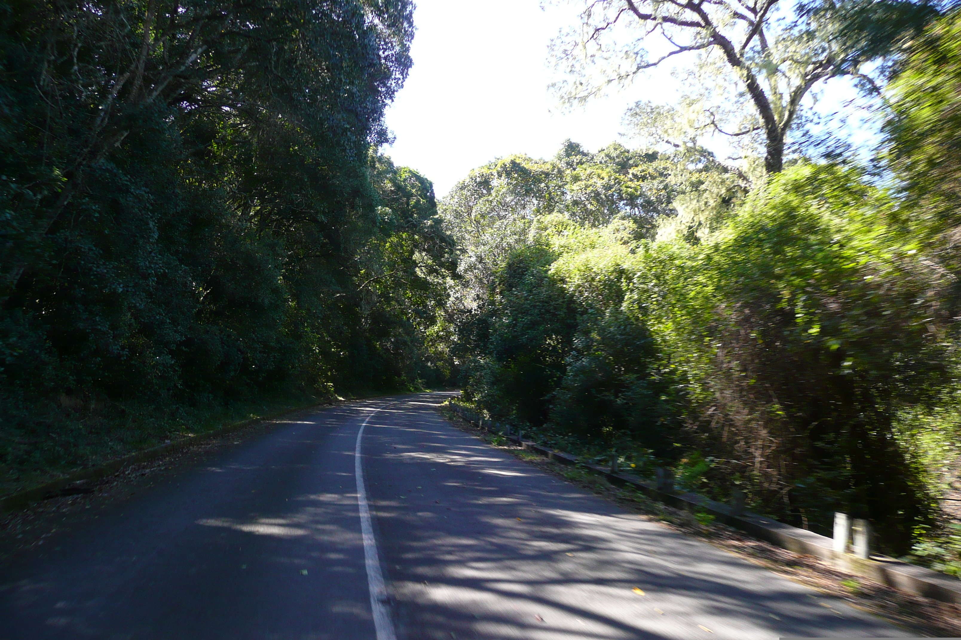 Picture South Africa Nature's Valley 2008-09 47 - Tour Nature's Valley