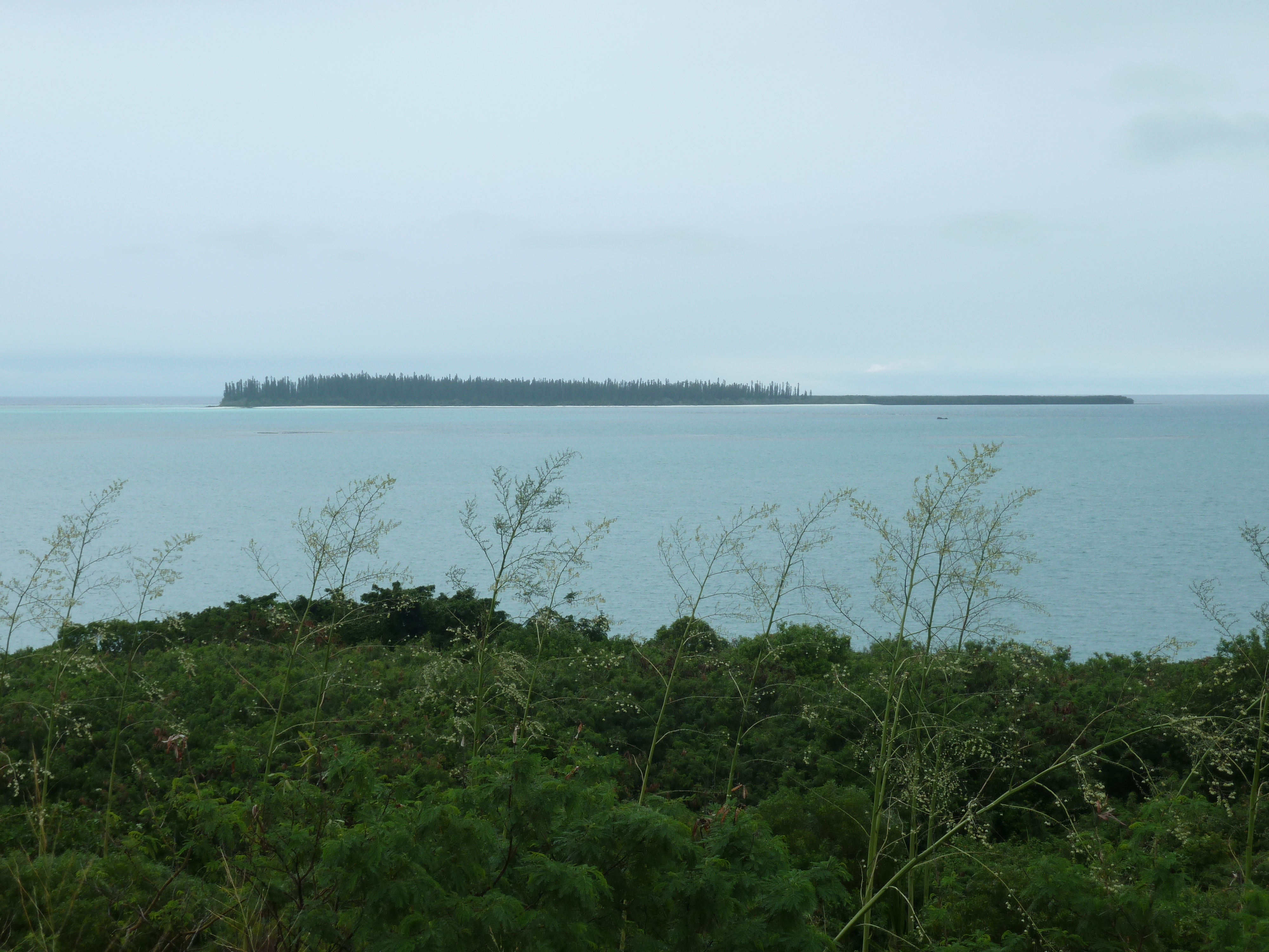 Picture New Caledonia Ile des pins 2010-05 14 - Tour Ile des pins