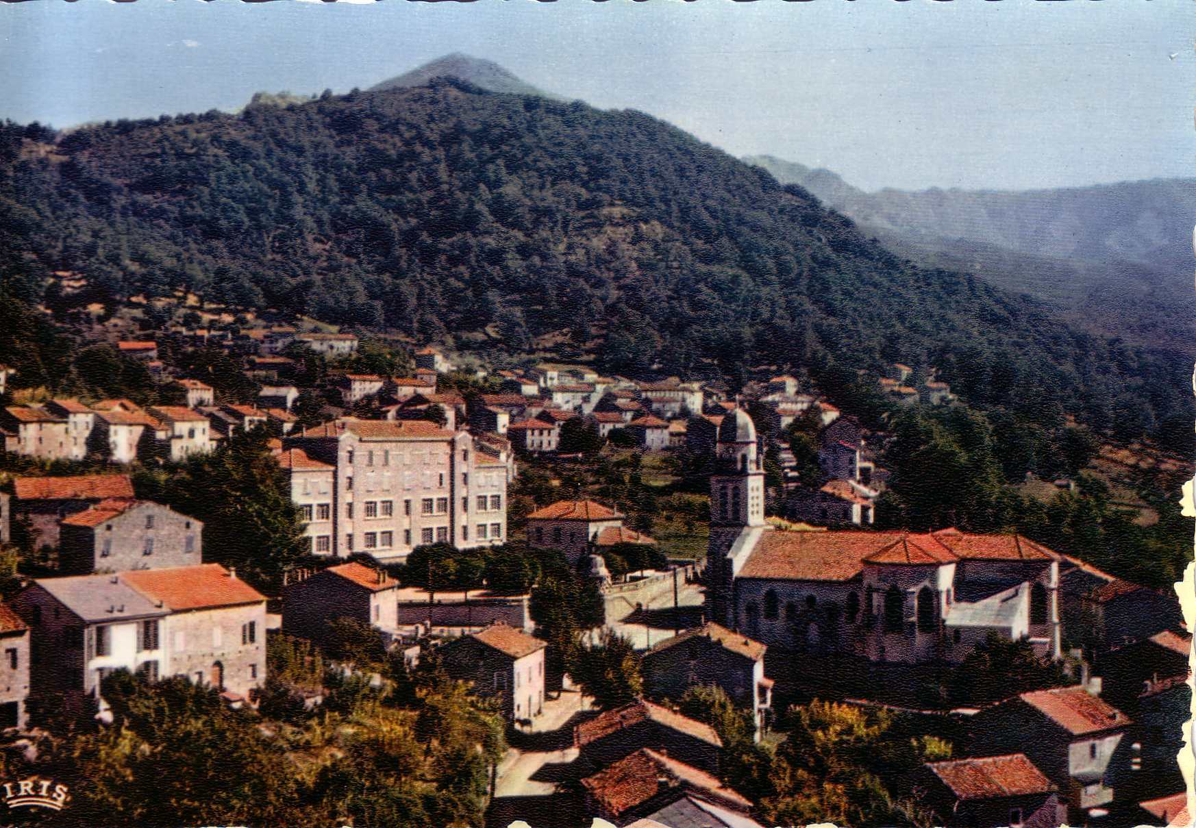 Picture France Corsica Old Postcards 1900-01 90 - Discovery Old Postcards