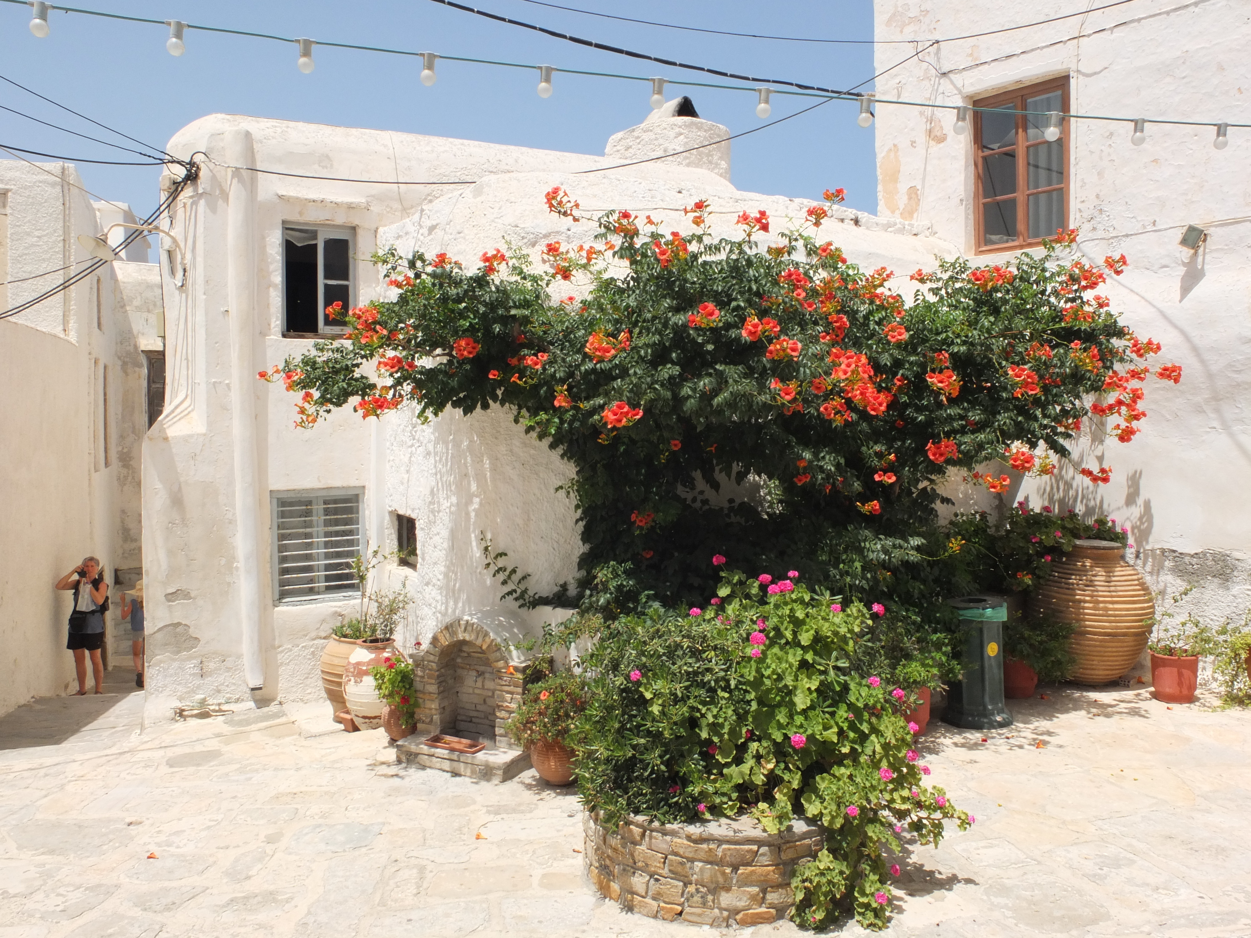 Picture Greece Naxos 2014-07 111 - Discovery Naxos