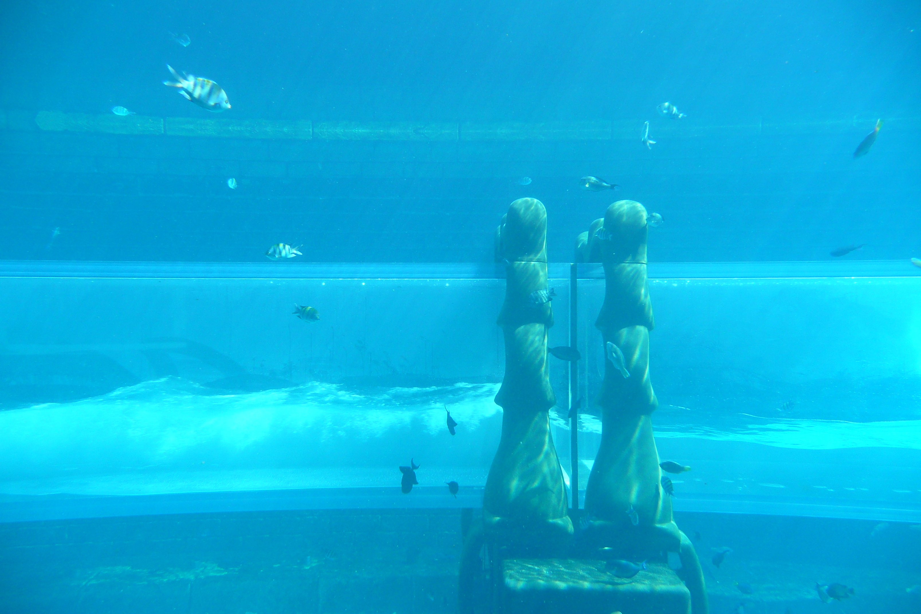 Picture United Arab Emirates Dubai Dubai Aquaventure 2009-01 155 - Around Dubai Aquaventure