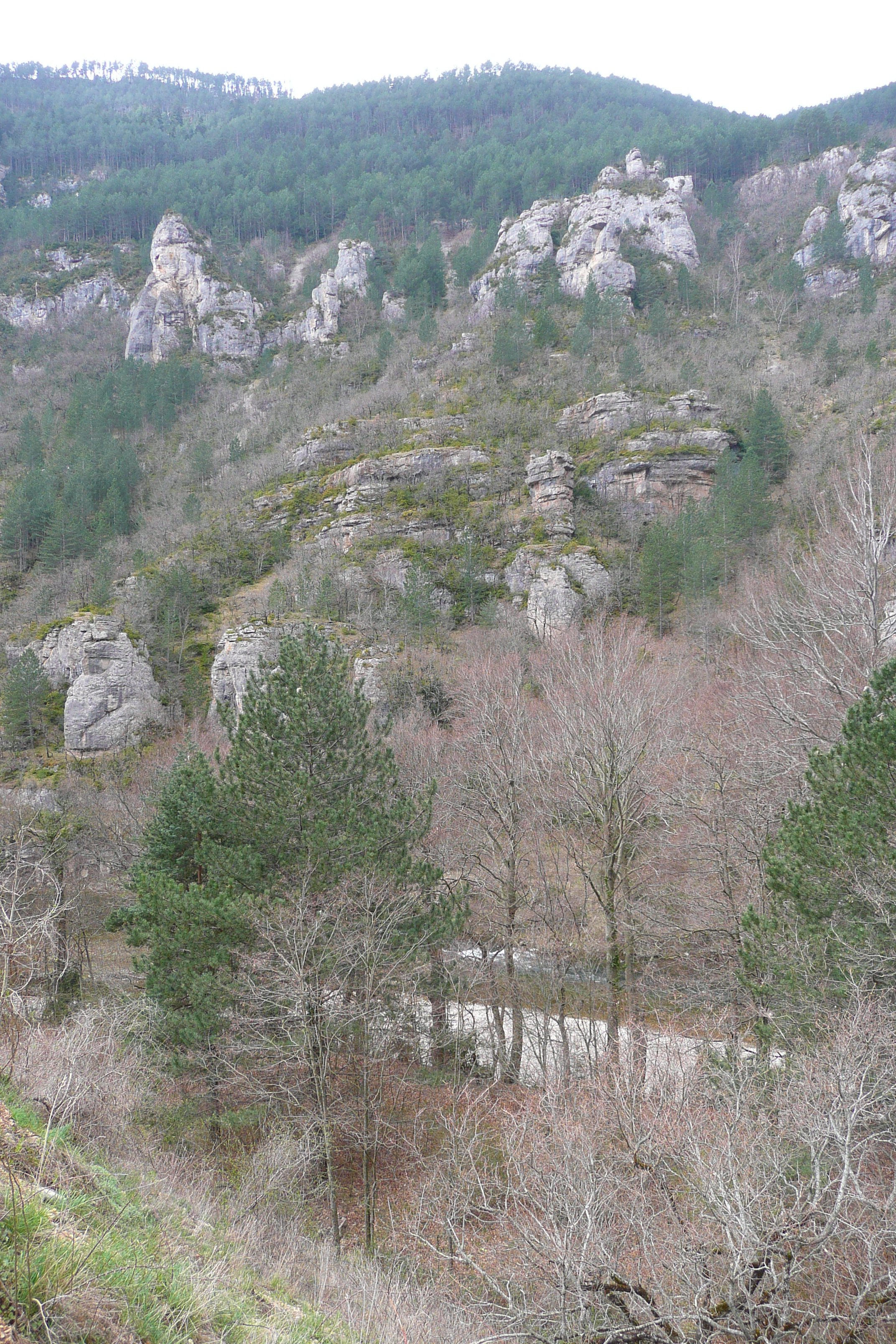 Picture France Tarn river 2008-04 6 - Journey Tarn river