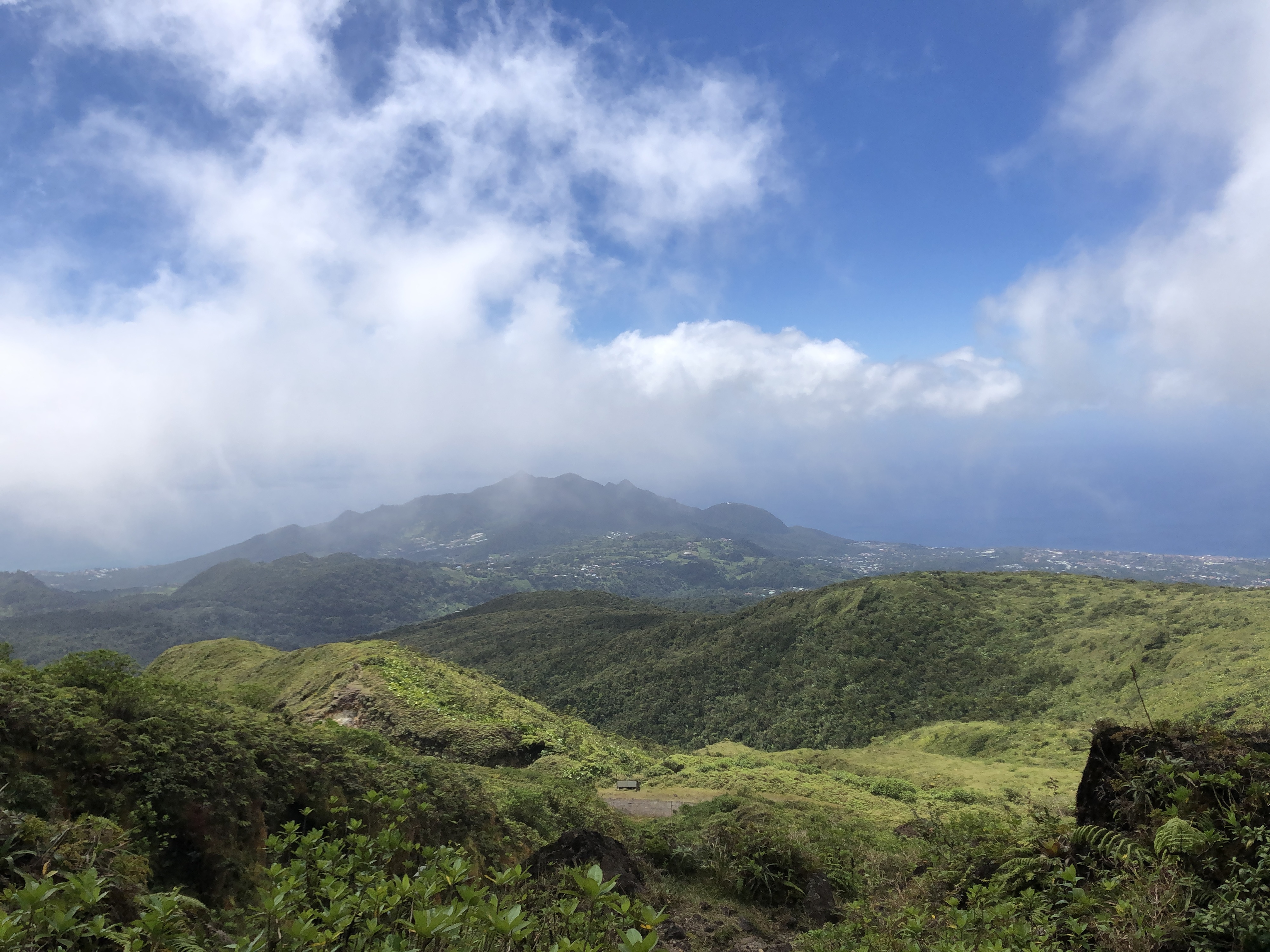 Picture Guadeloupe La Grande Soufriere 2021-02 5 - Around La Grande Soufriere